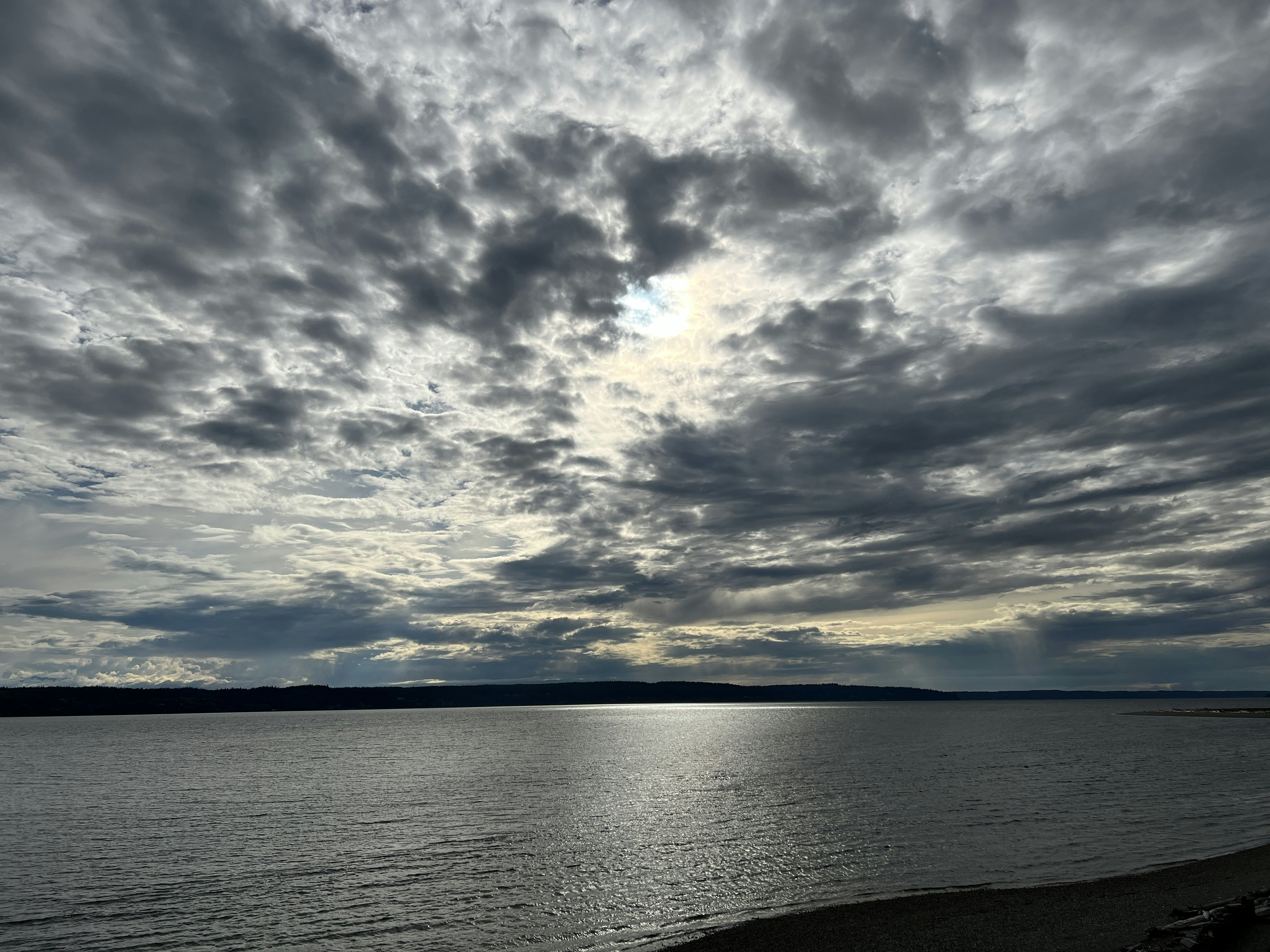 Click to View Larger