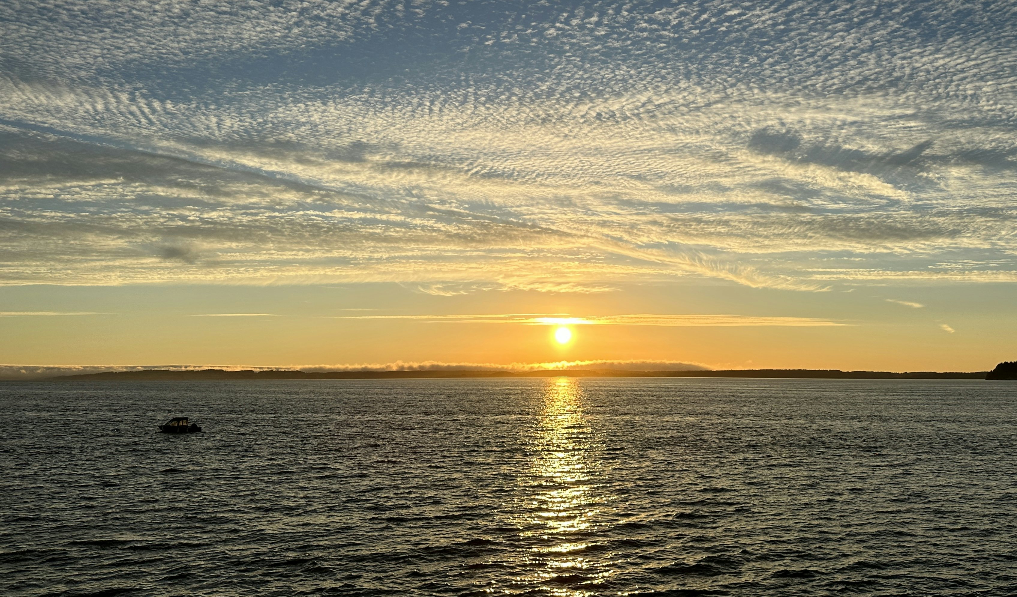 Click to View Larger