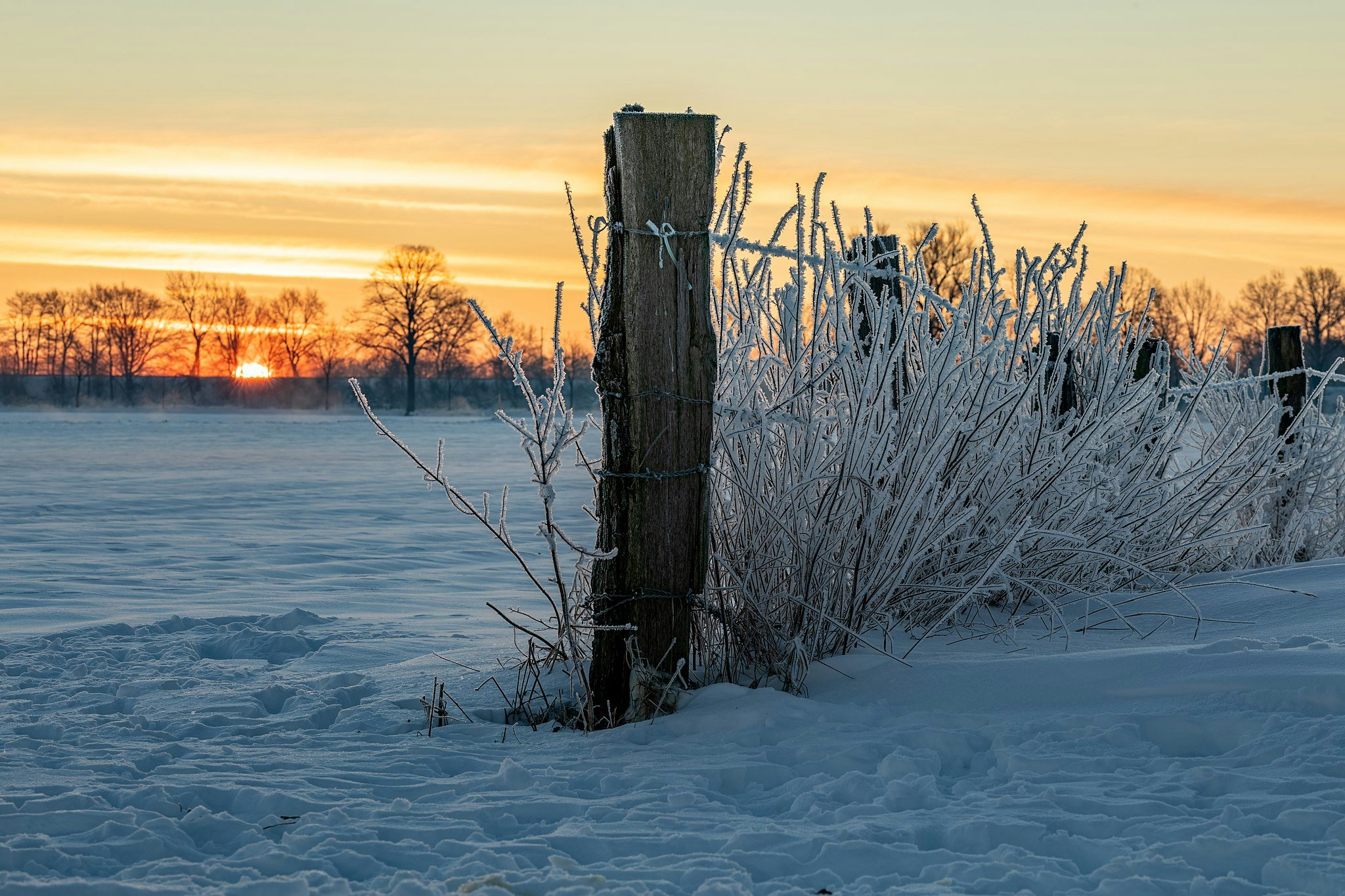 Click to View Larger