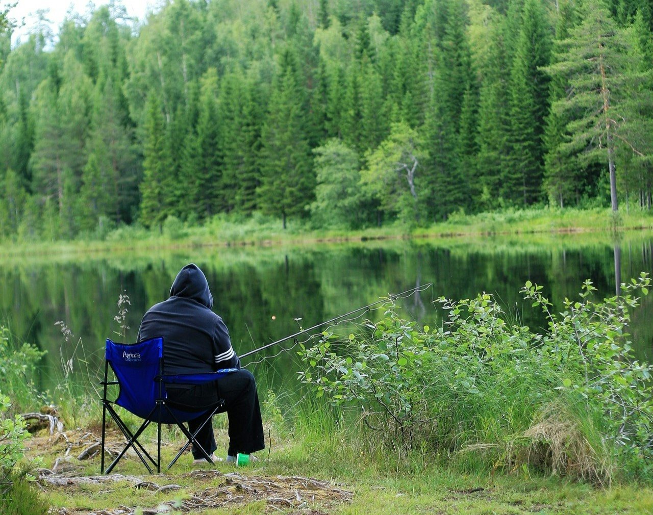 Click to View Larger