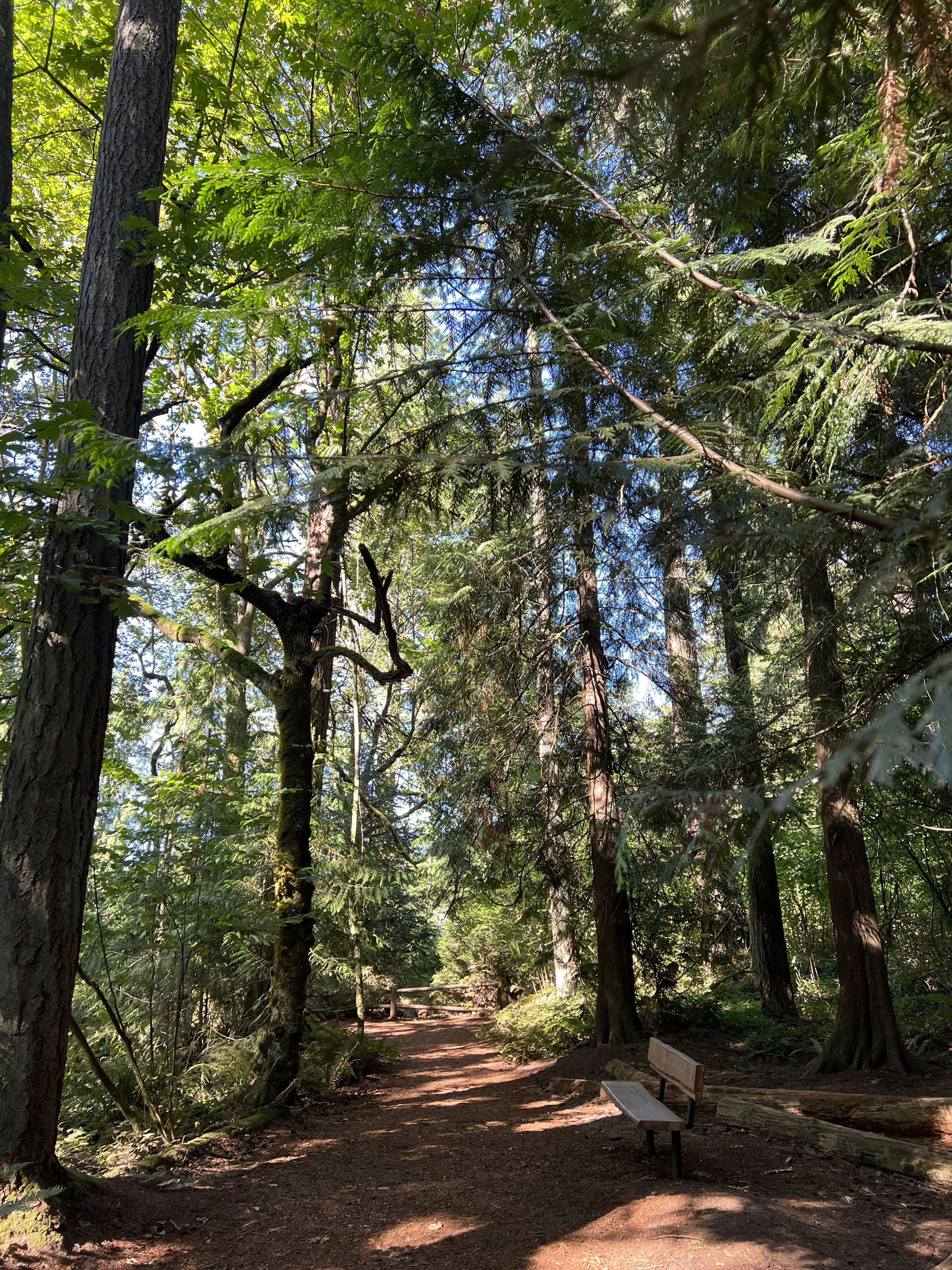 Click to View Larger