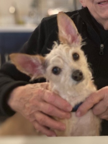 Click to View Larger