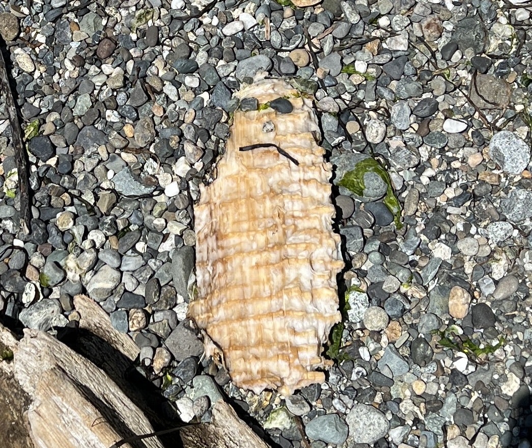 Click to View Larger