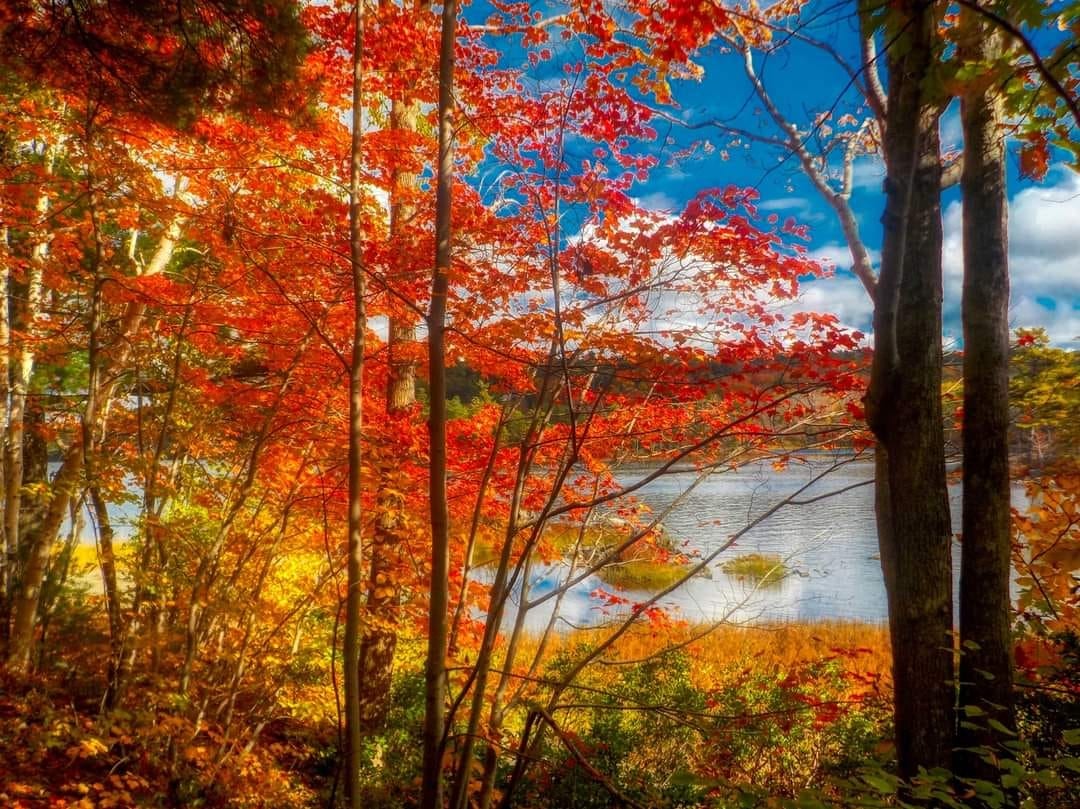 Click to View Larger