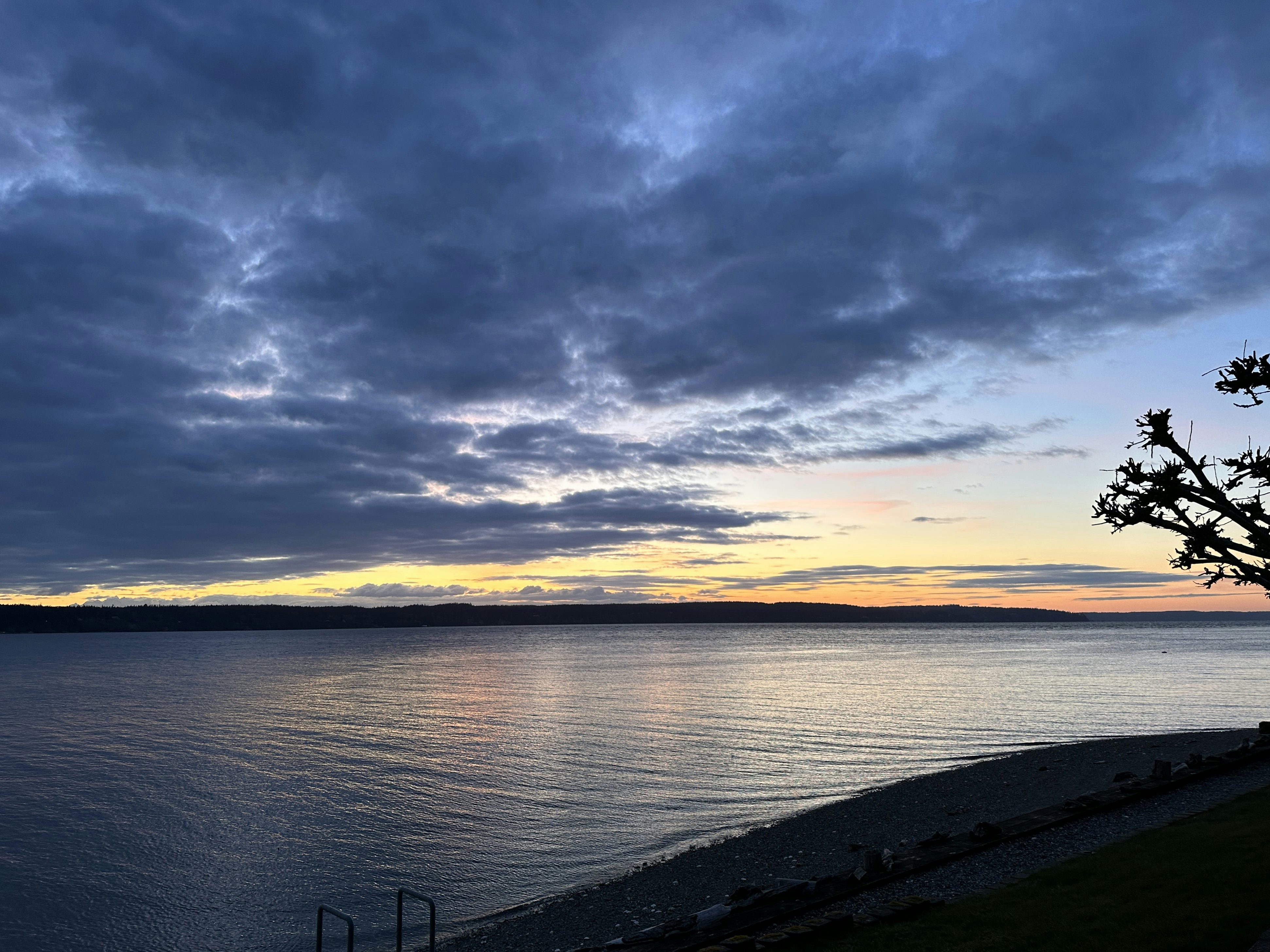 Click to View Larger