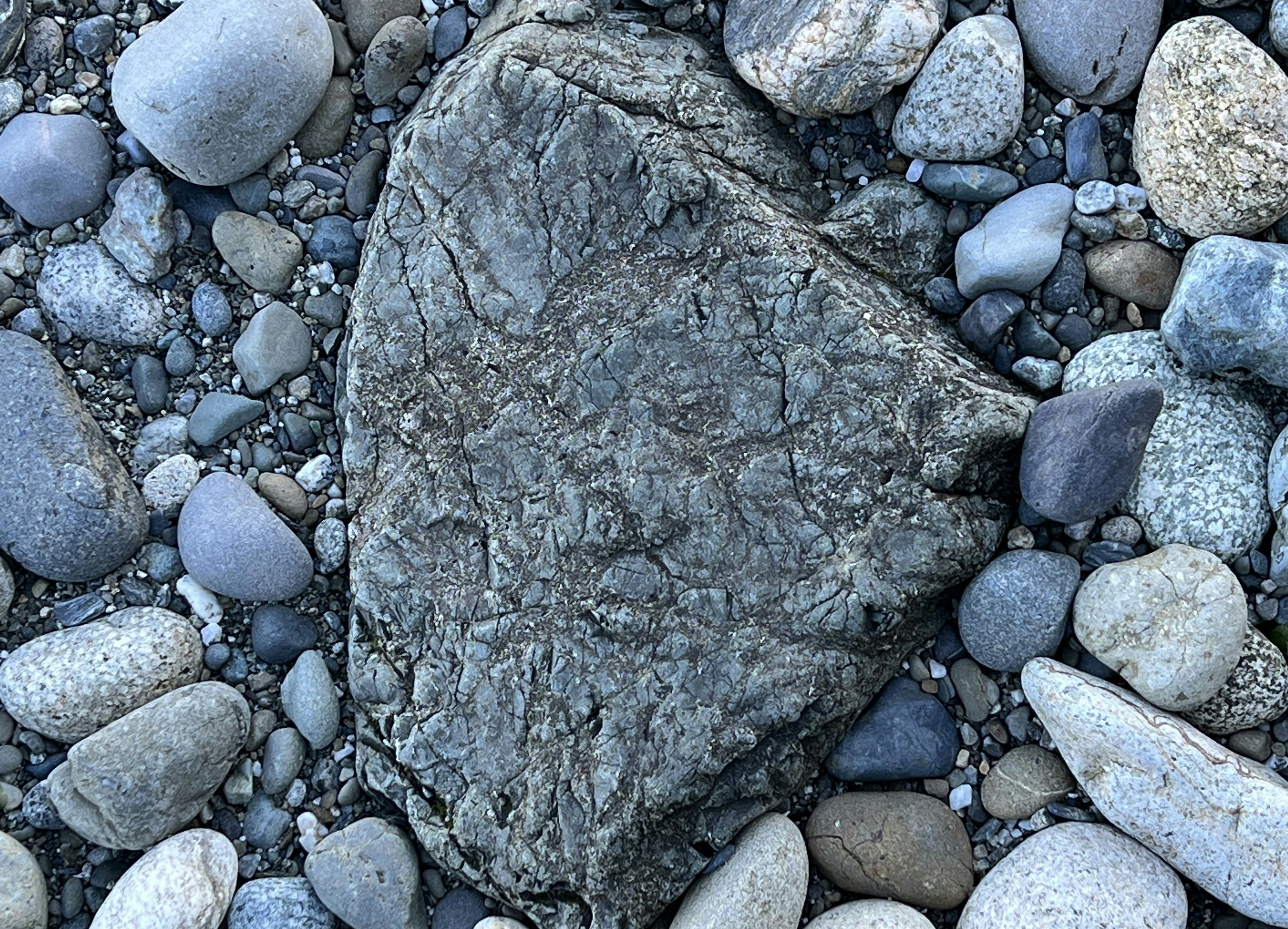 Click to View Larger