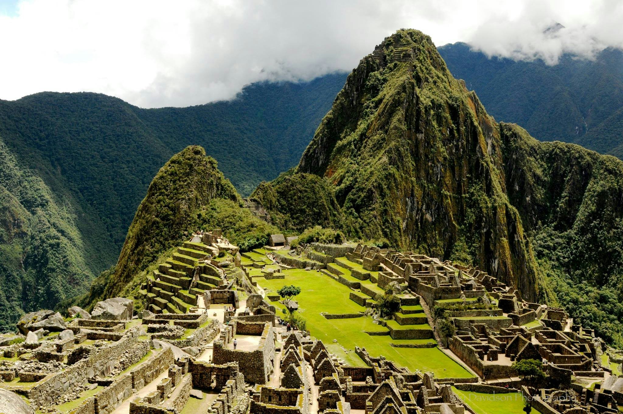 Click to View Larger