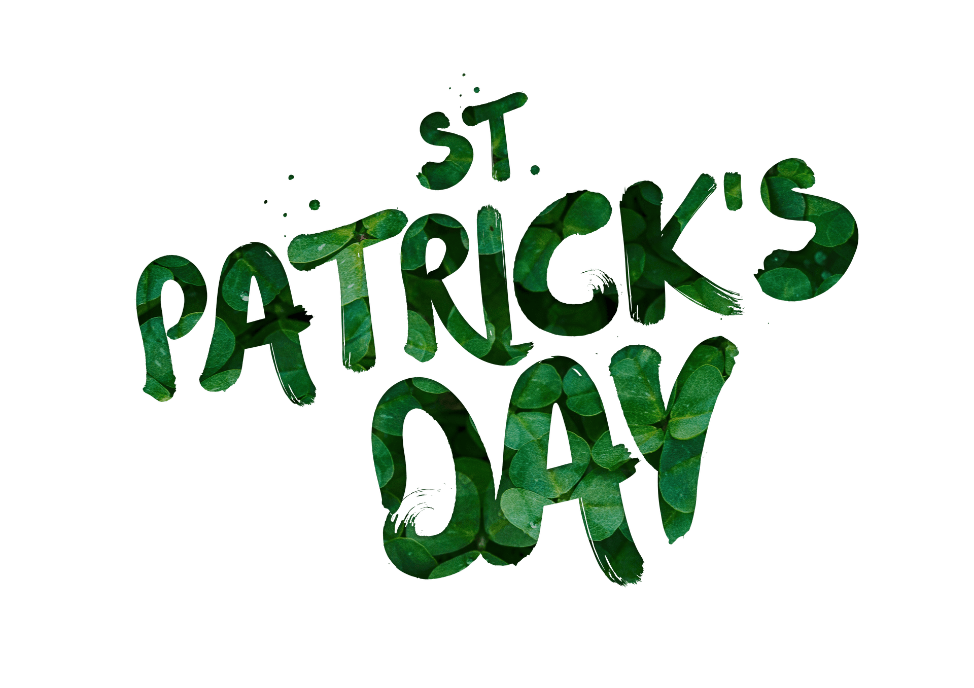 Click to View Larger