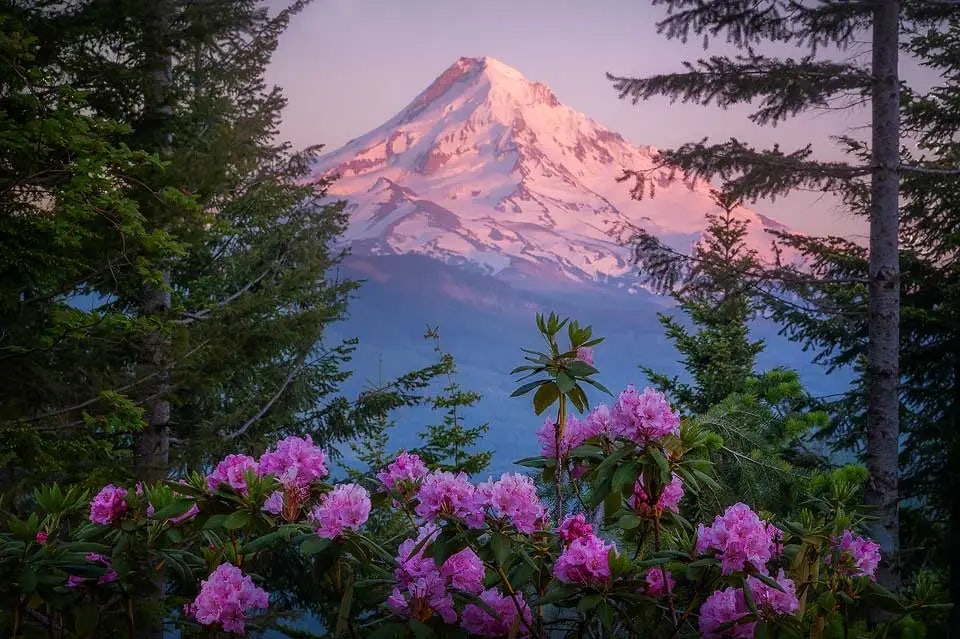 Click to View Larger