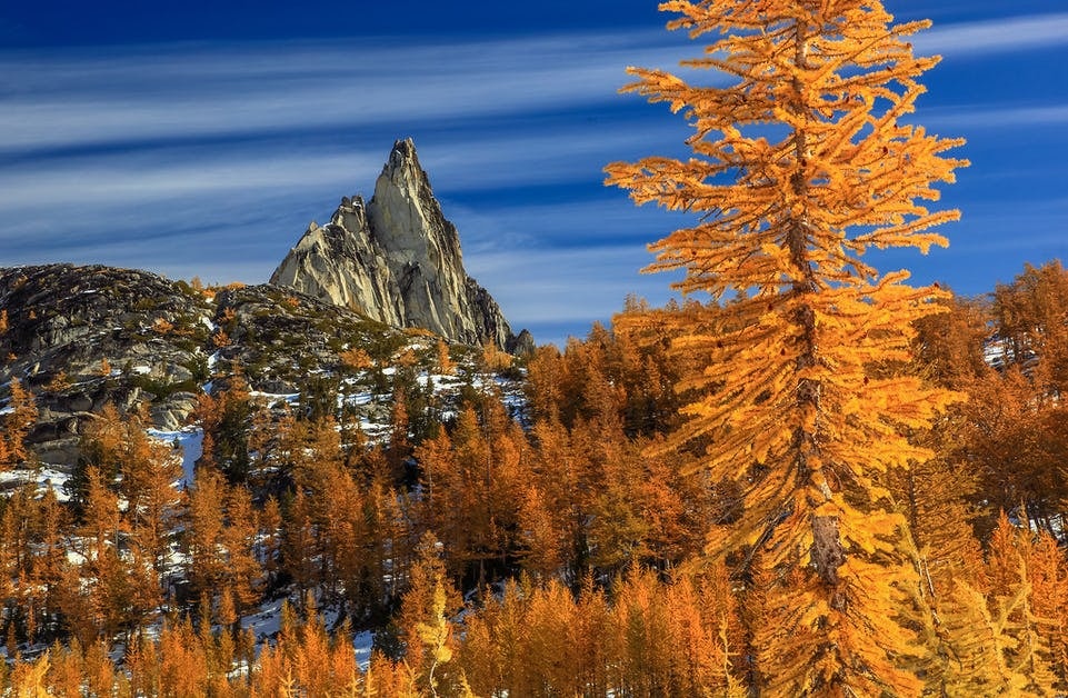 Click to View Larger