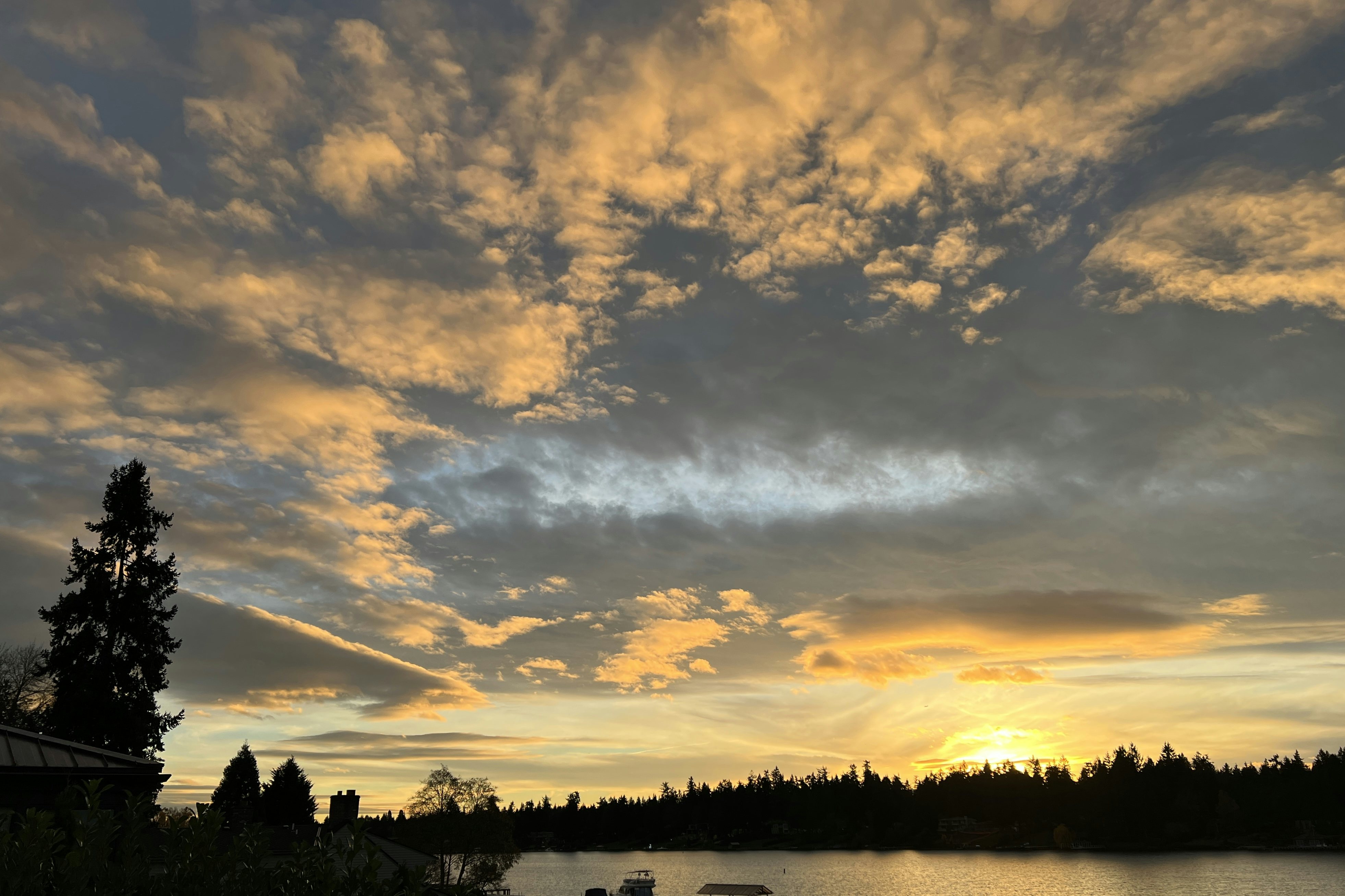 Click to View Larger