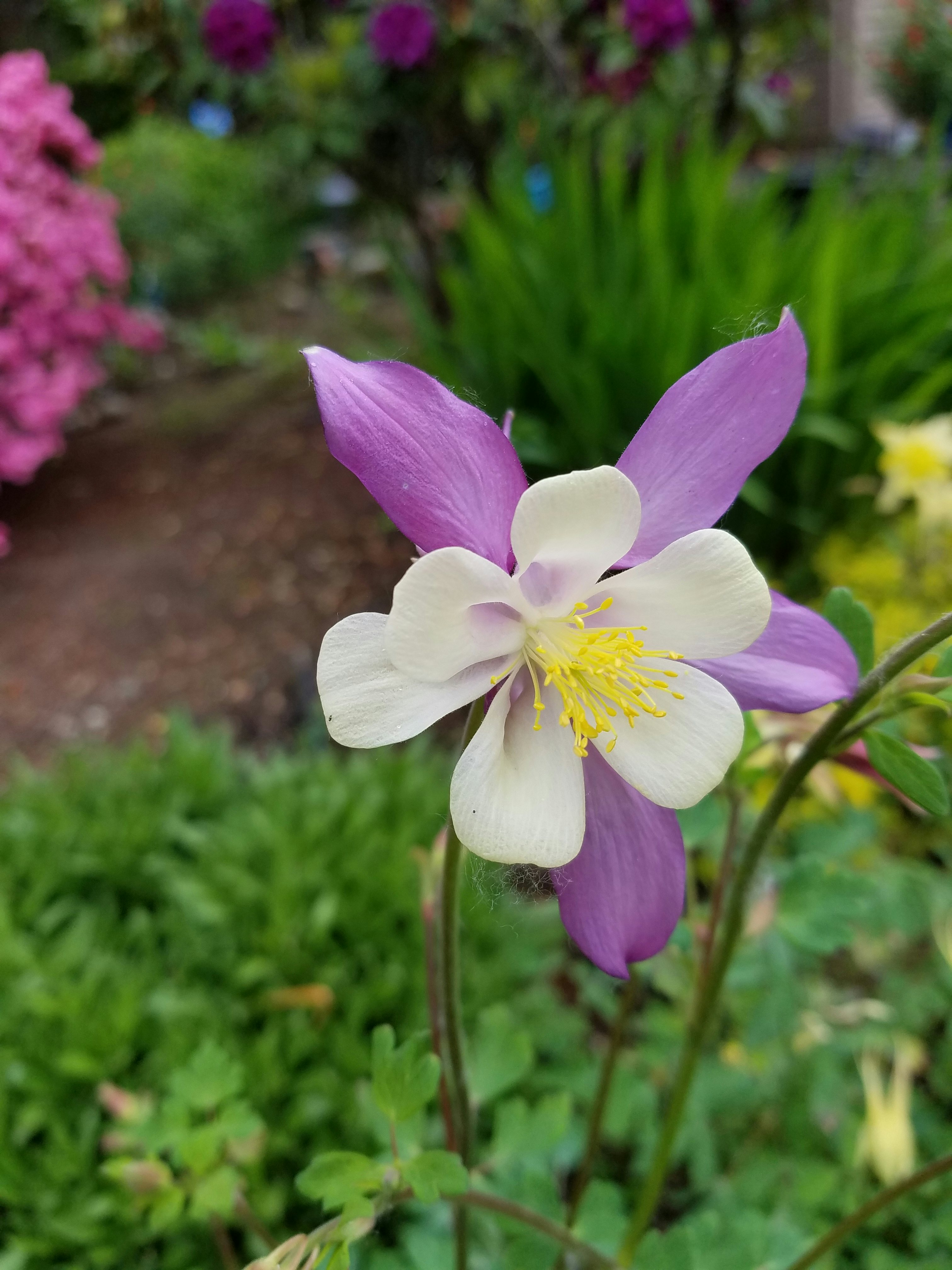 Click to View Larger