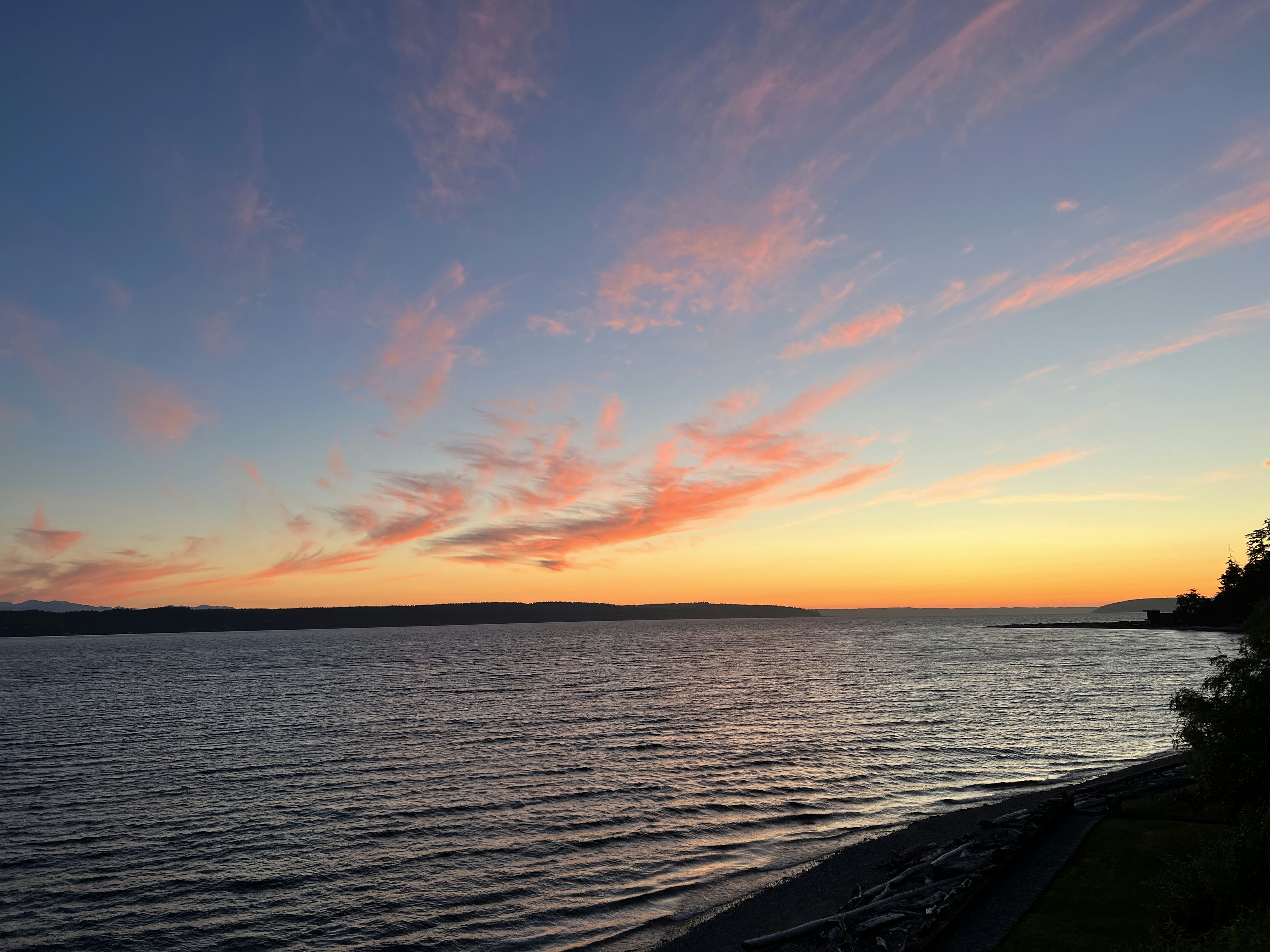 Click to View Larger