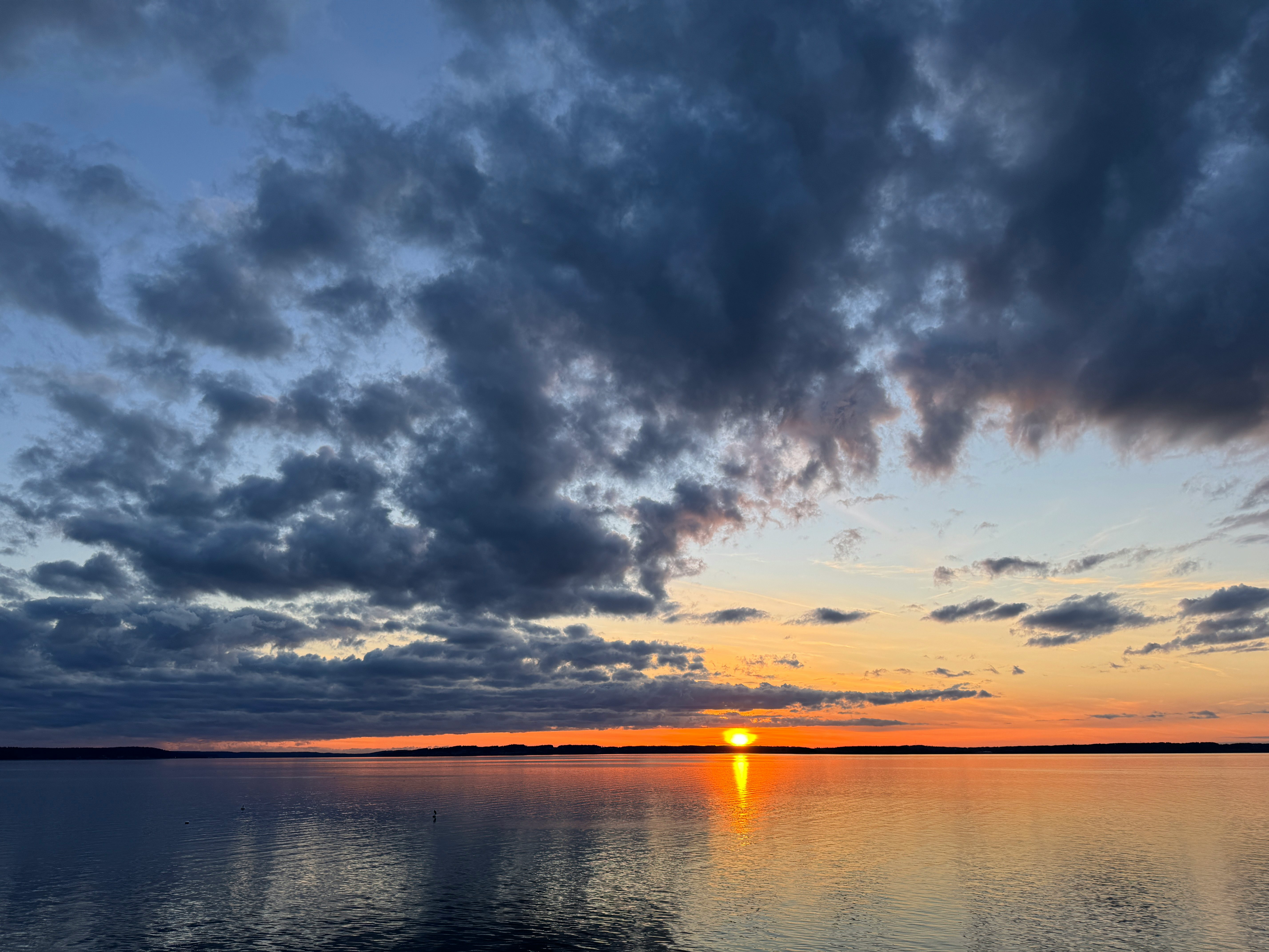 Click to View Larger