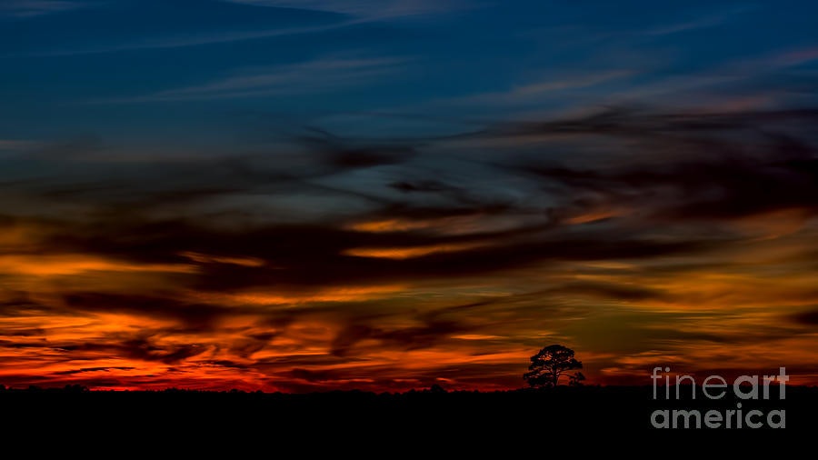 Click to View Larger