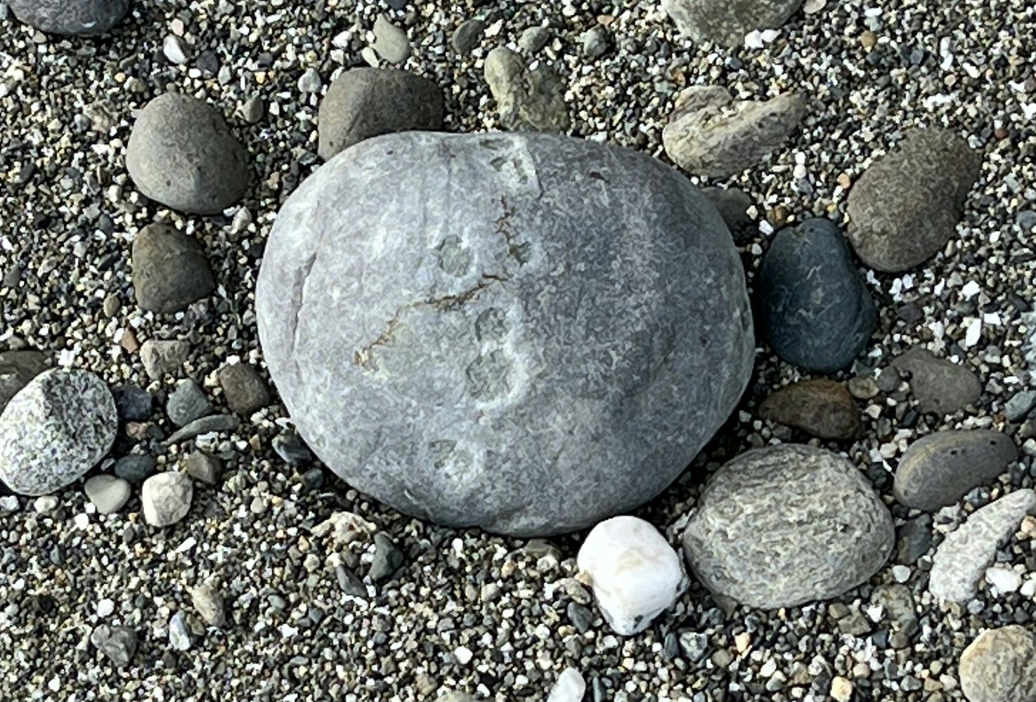 Click to View Larger