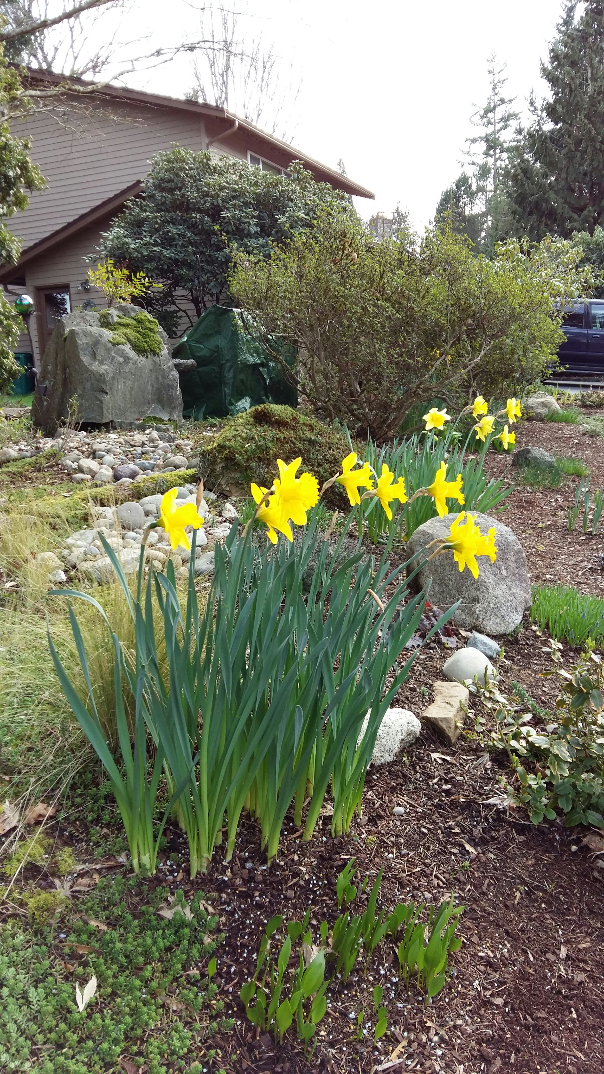 Click to View Larger