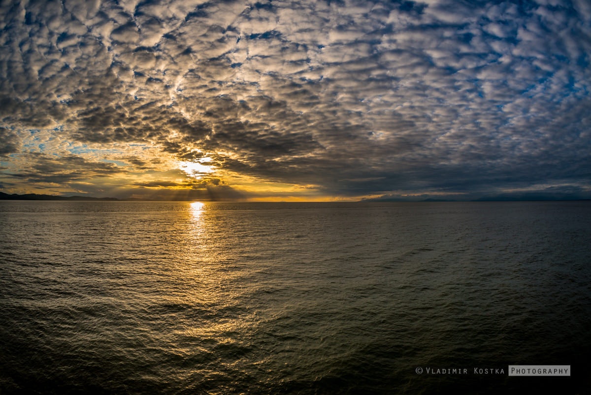 Click to View Larger