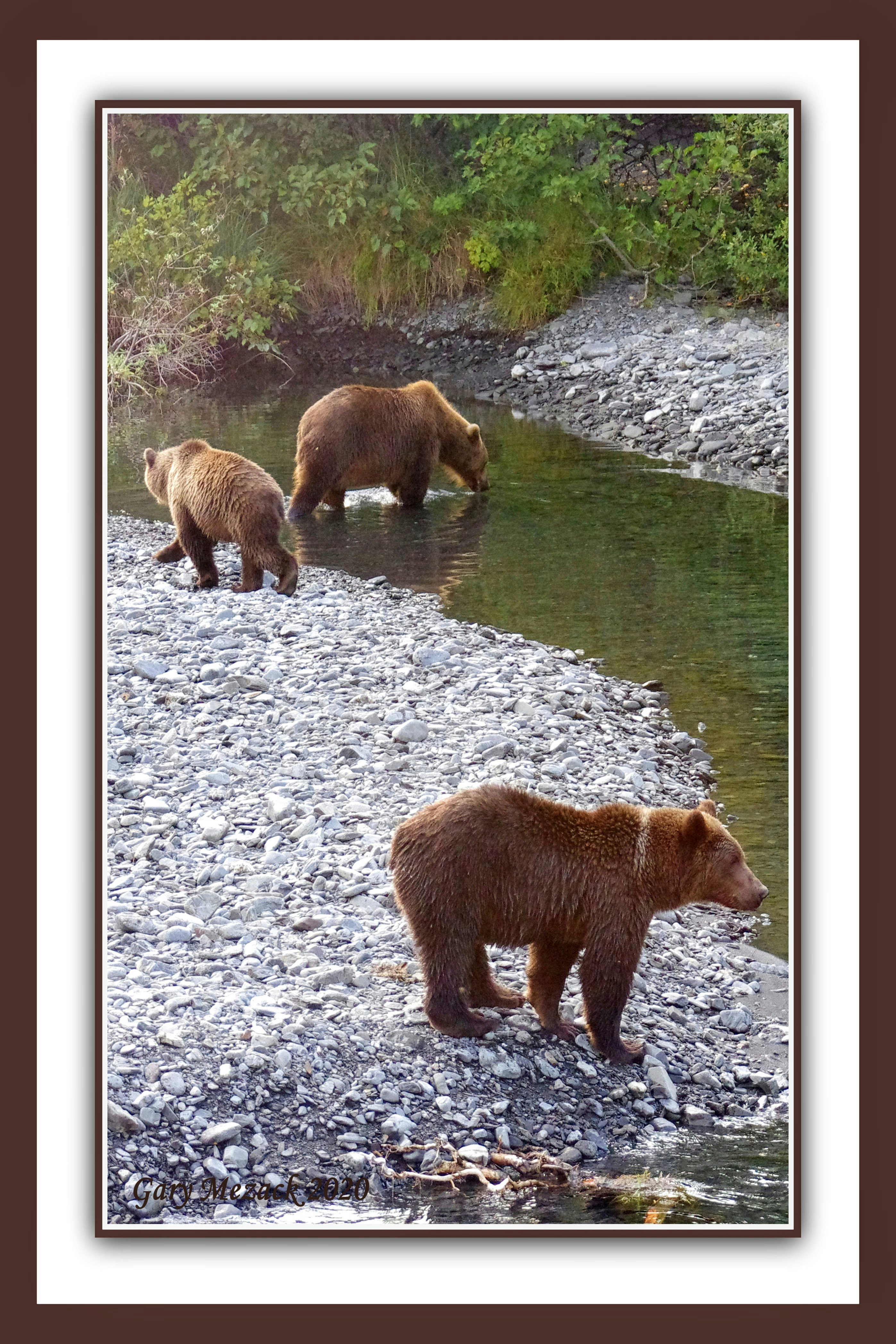 Click to View Larger