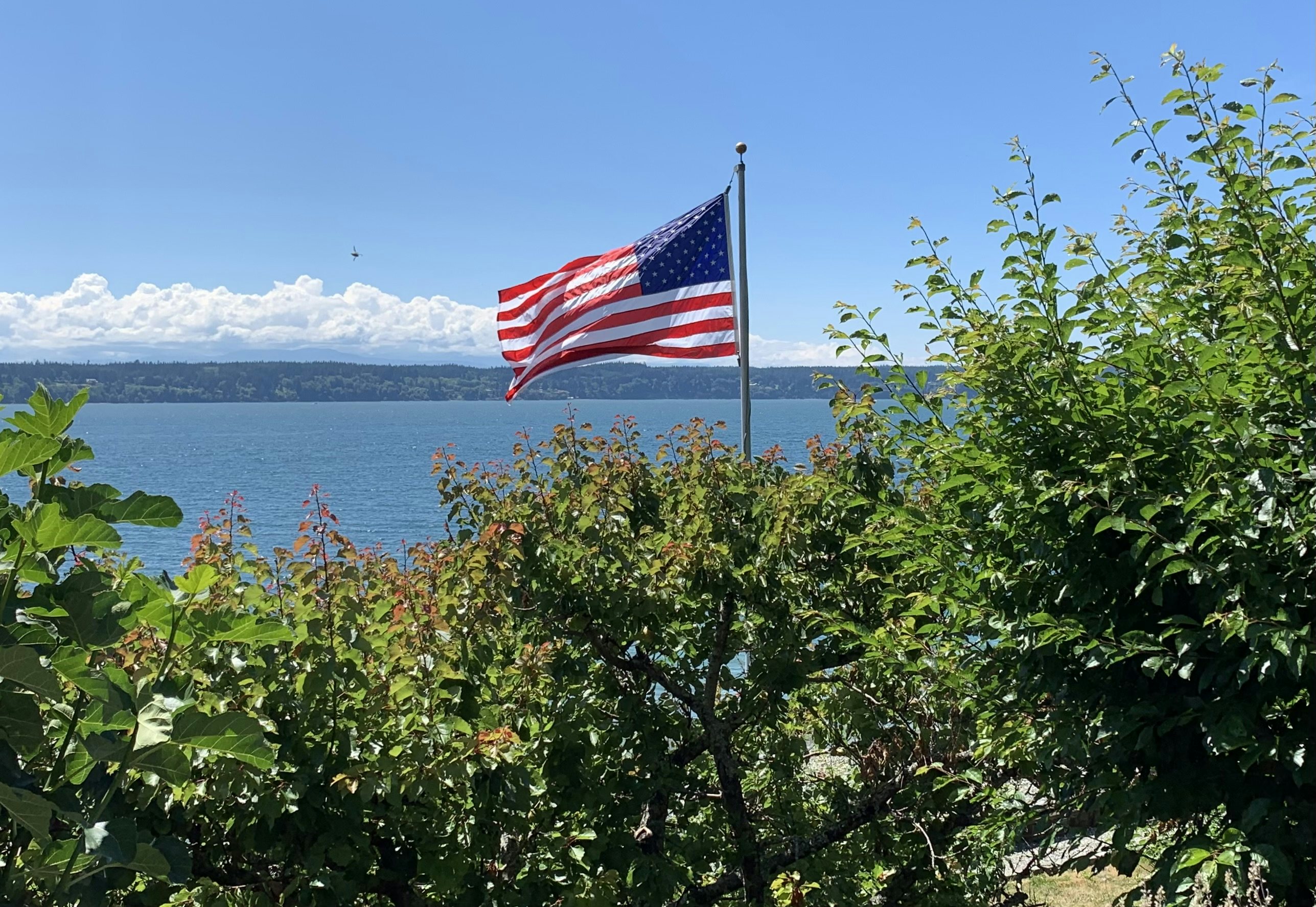 Click to View Larger