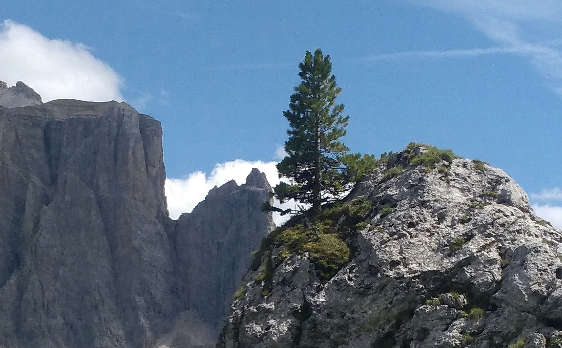 Click to View Larger