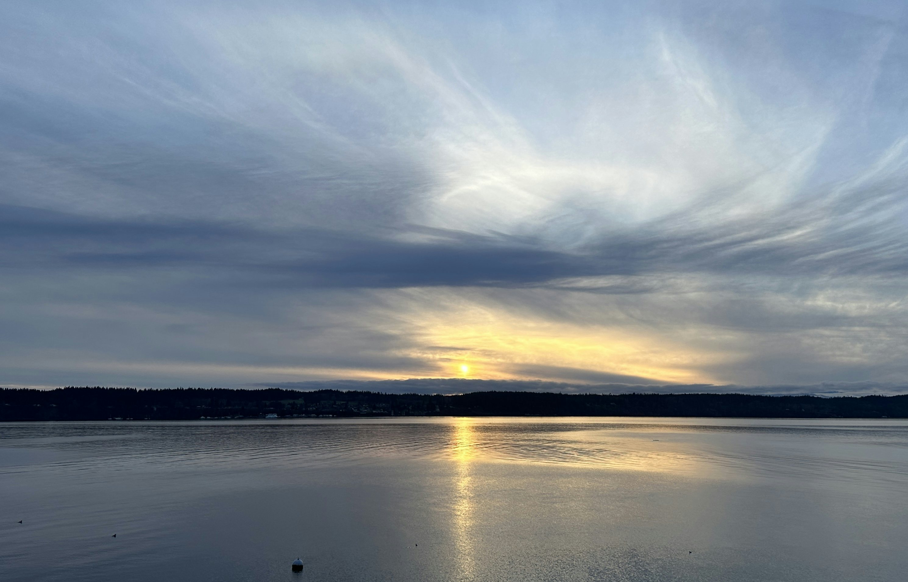 Click to View Larger