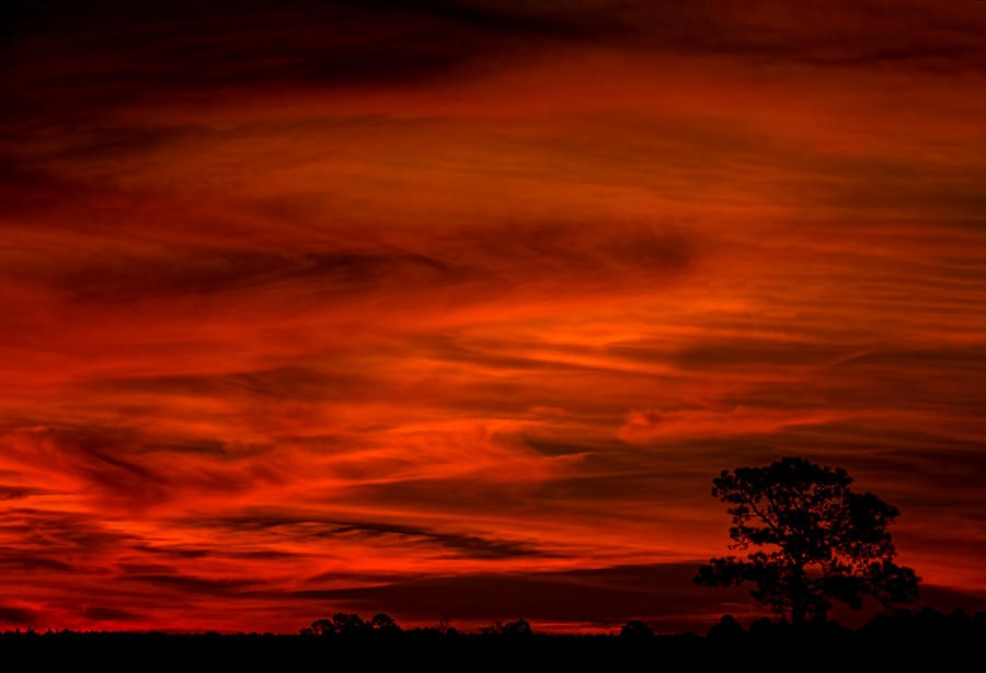 Click to View Larger