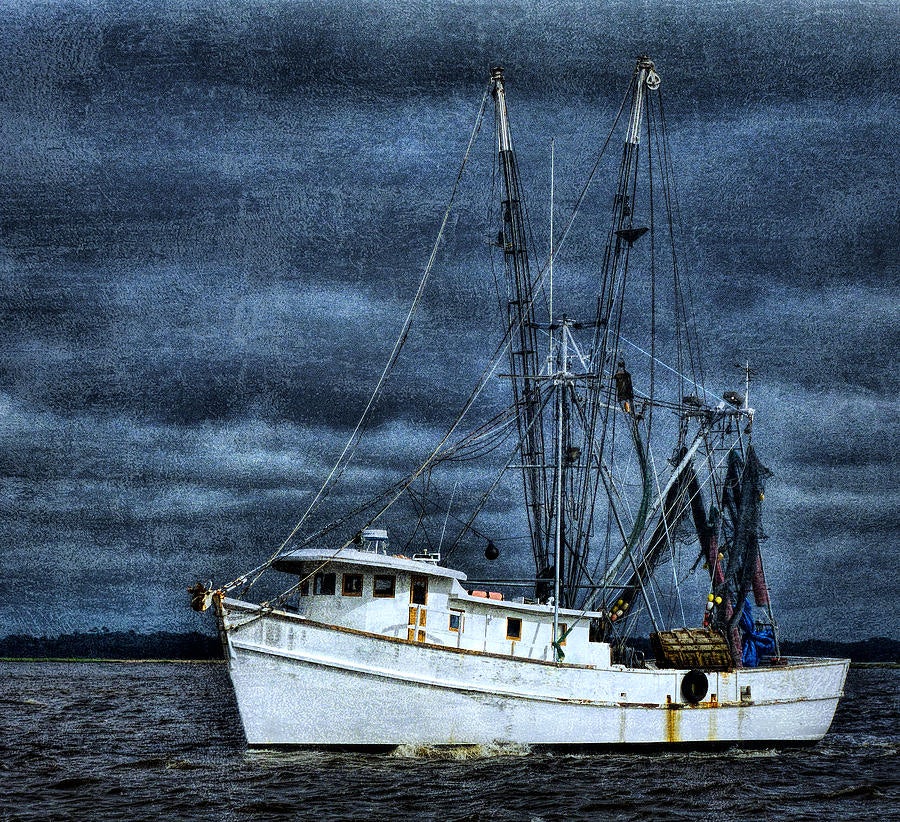 Click to View Larger