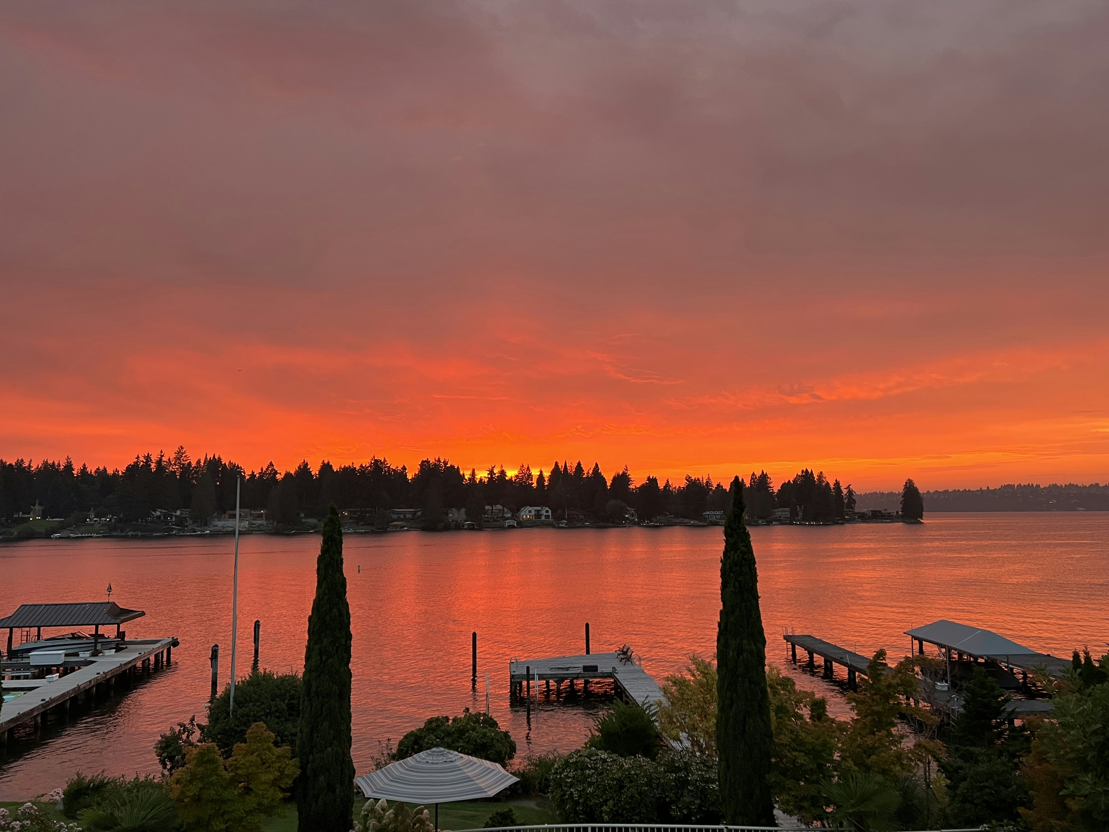 Click to View Larger