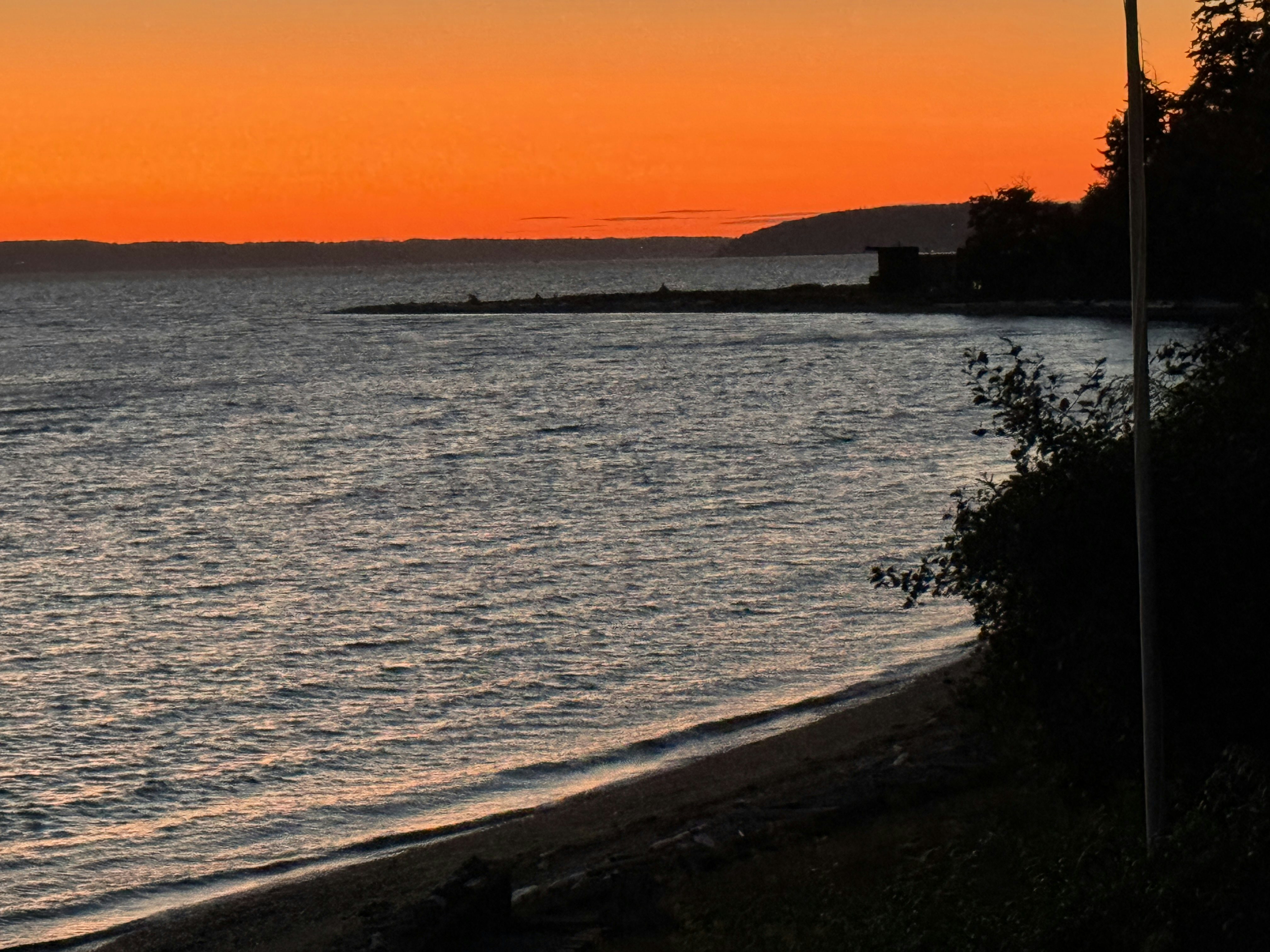 Click to View Larger