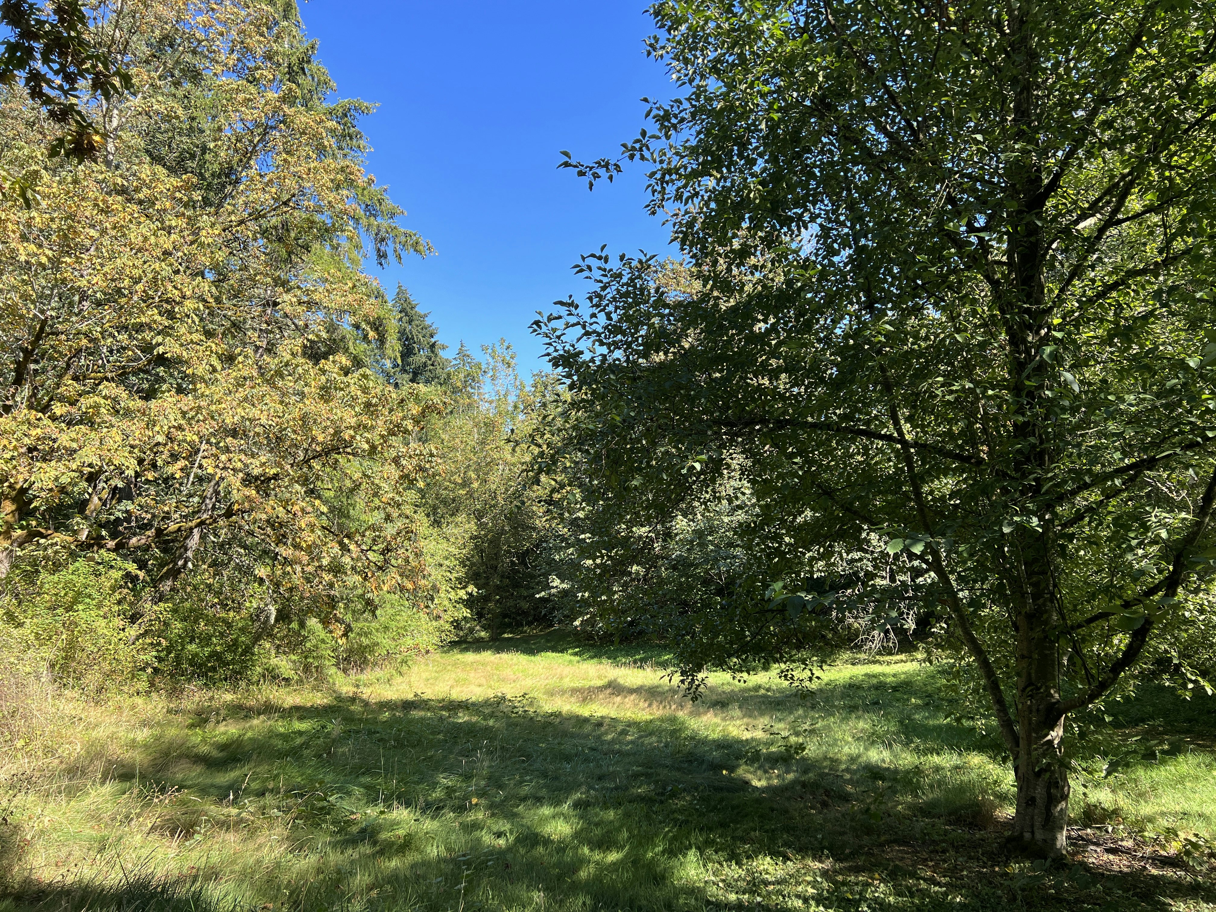 Click to View Larger