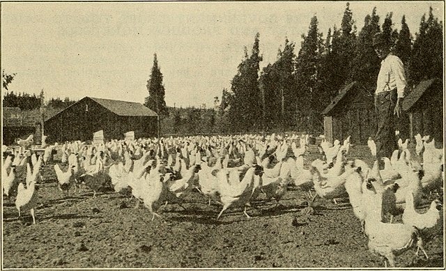 Click to View Larger