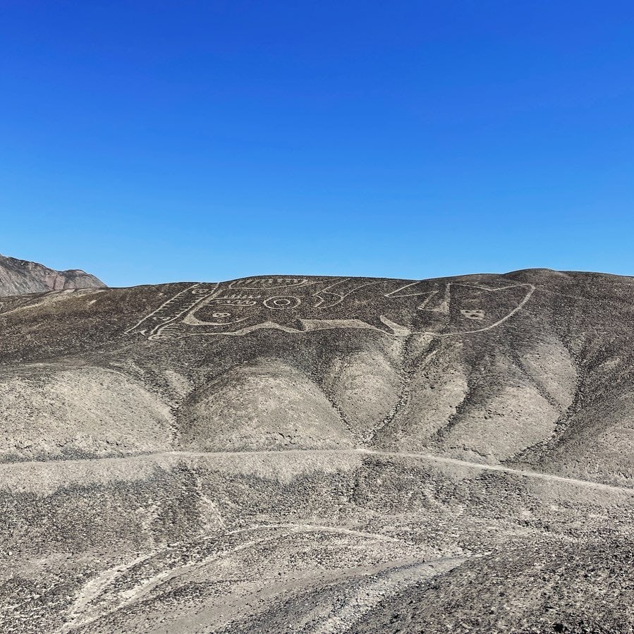 Click to View Larger