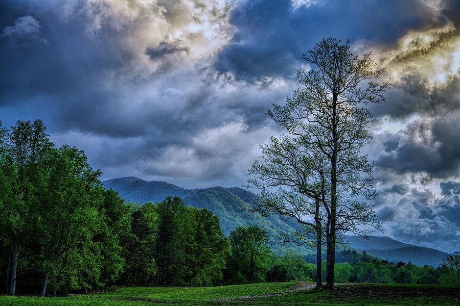 Click to View Larger