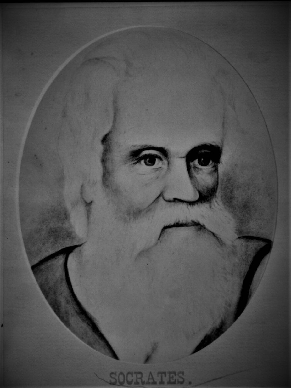 Click to View Larger