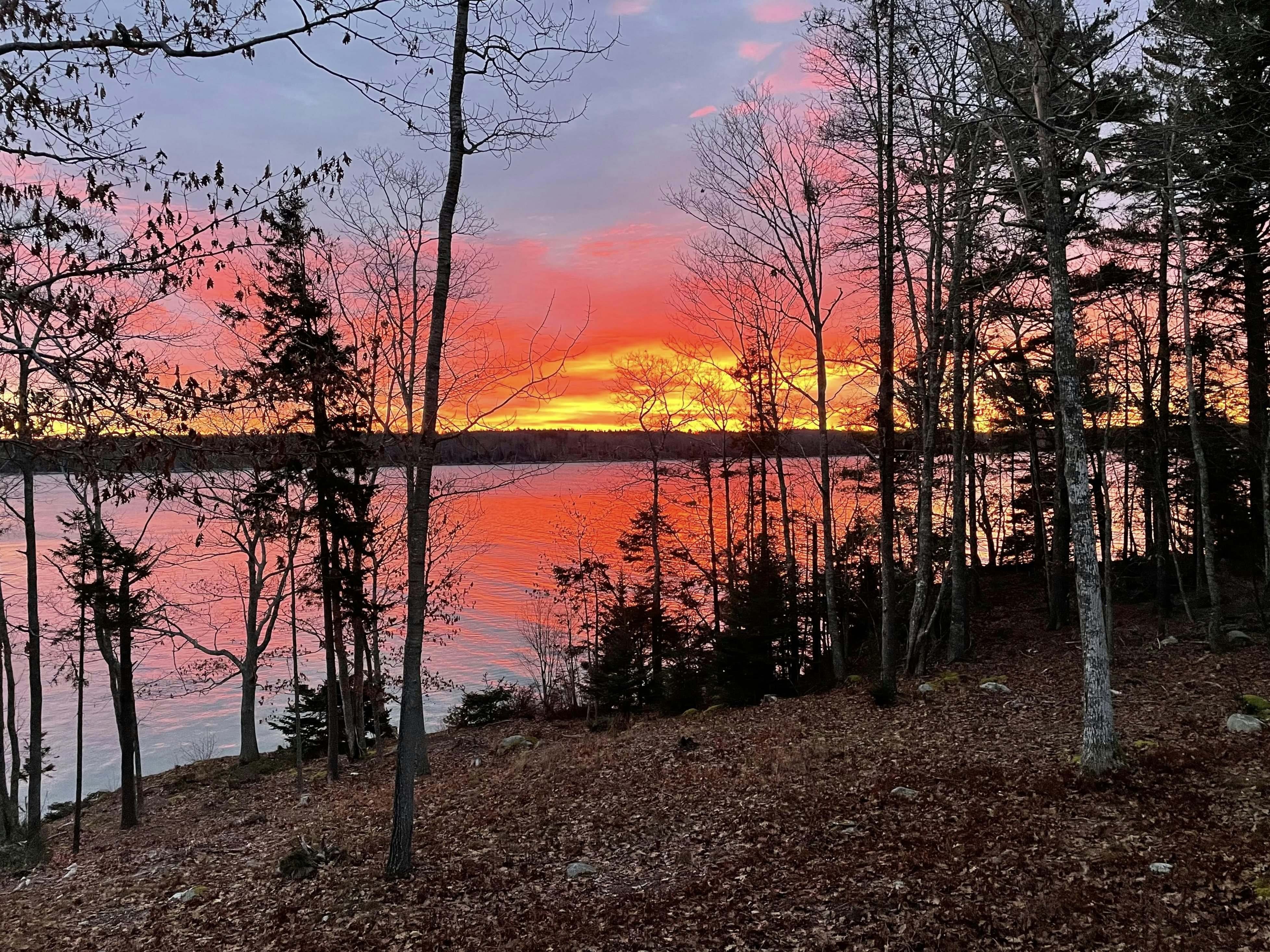 Click to View Larger