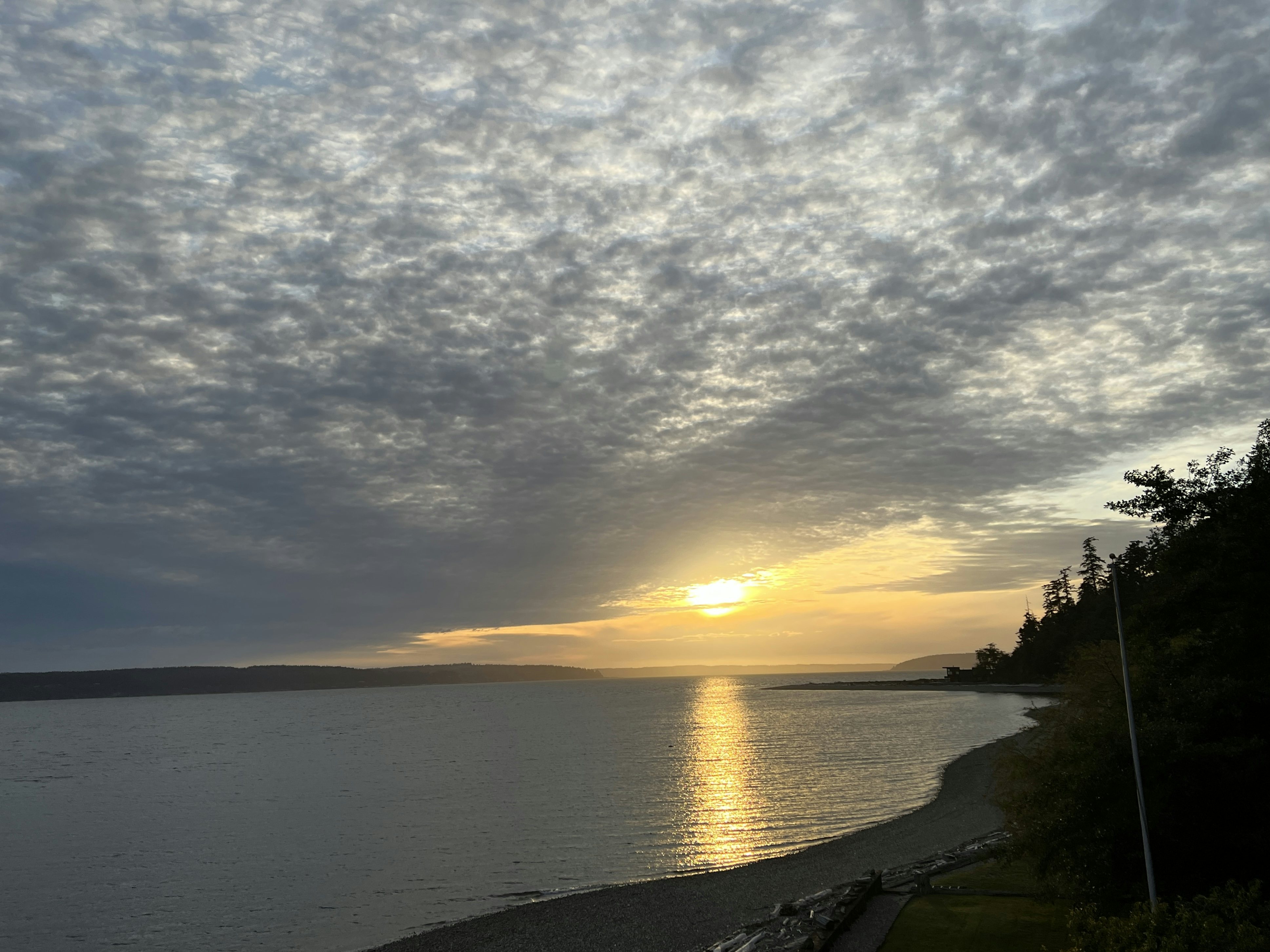 Click to View Larger