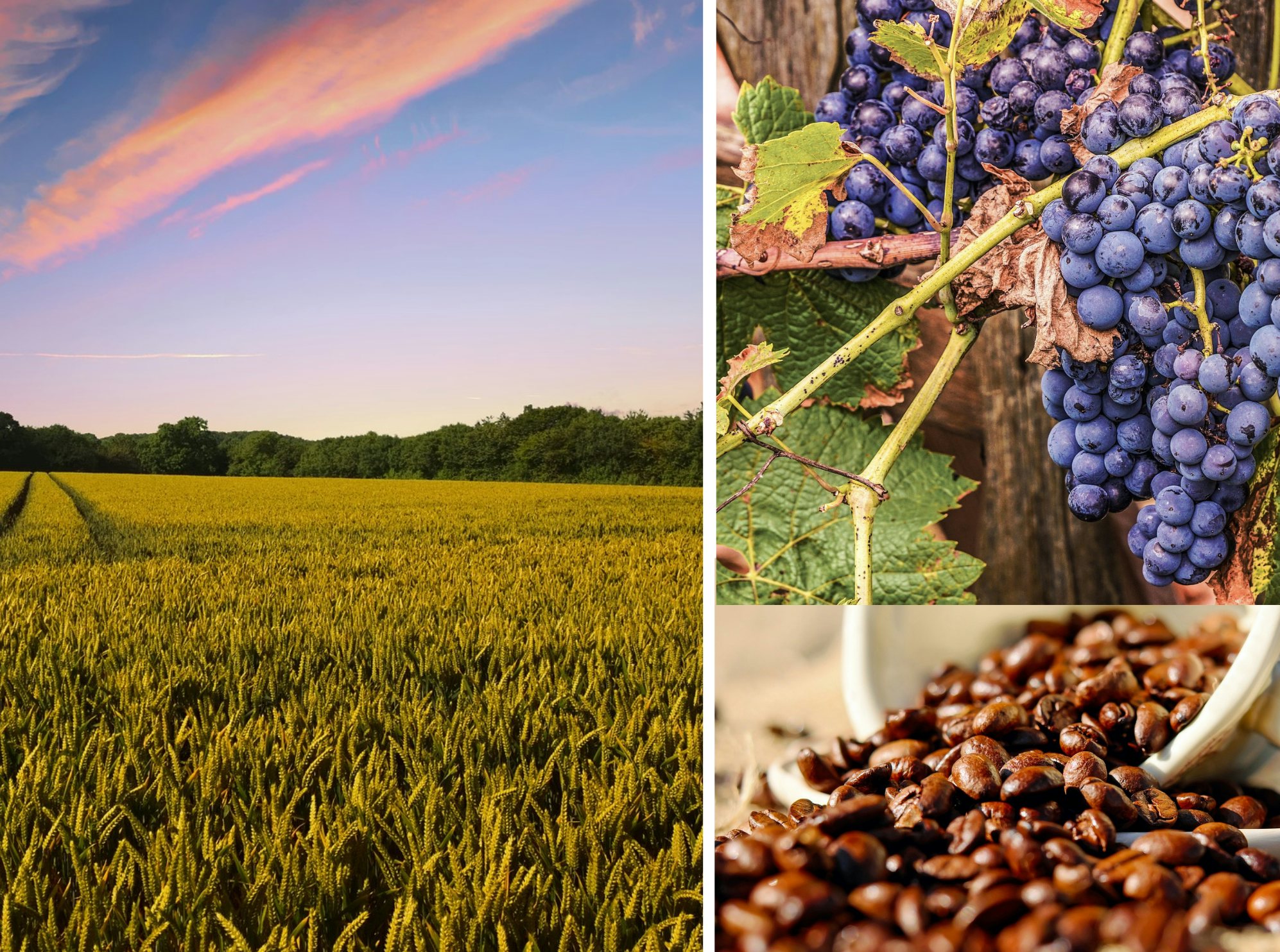 Click to View Larger