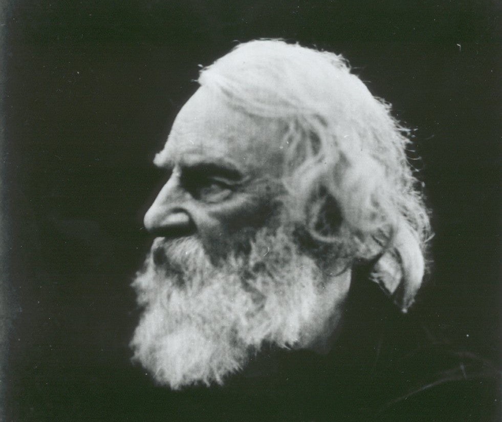 Click to View Larger