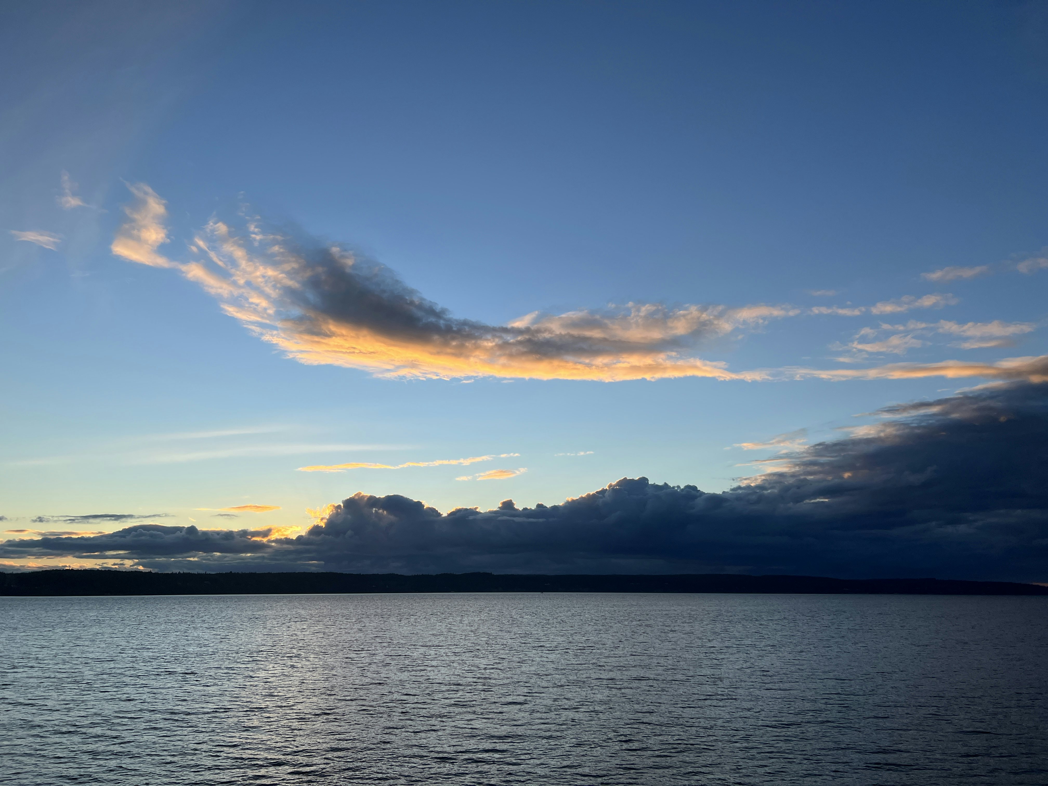 Click to View Larger