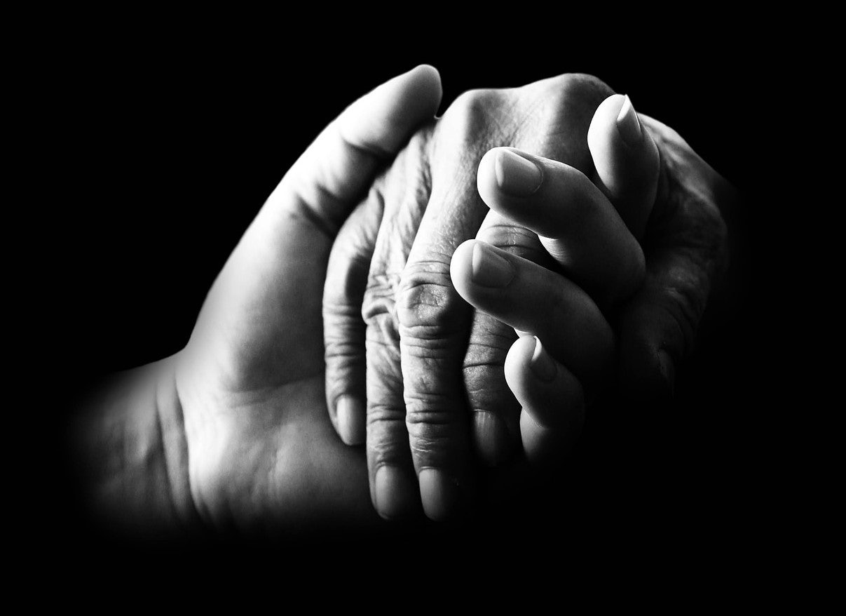 Click to View Larger