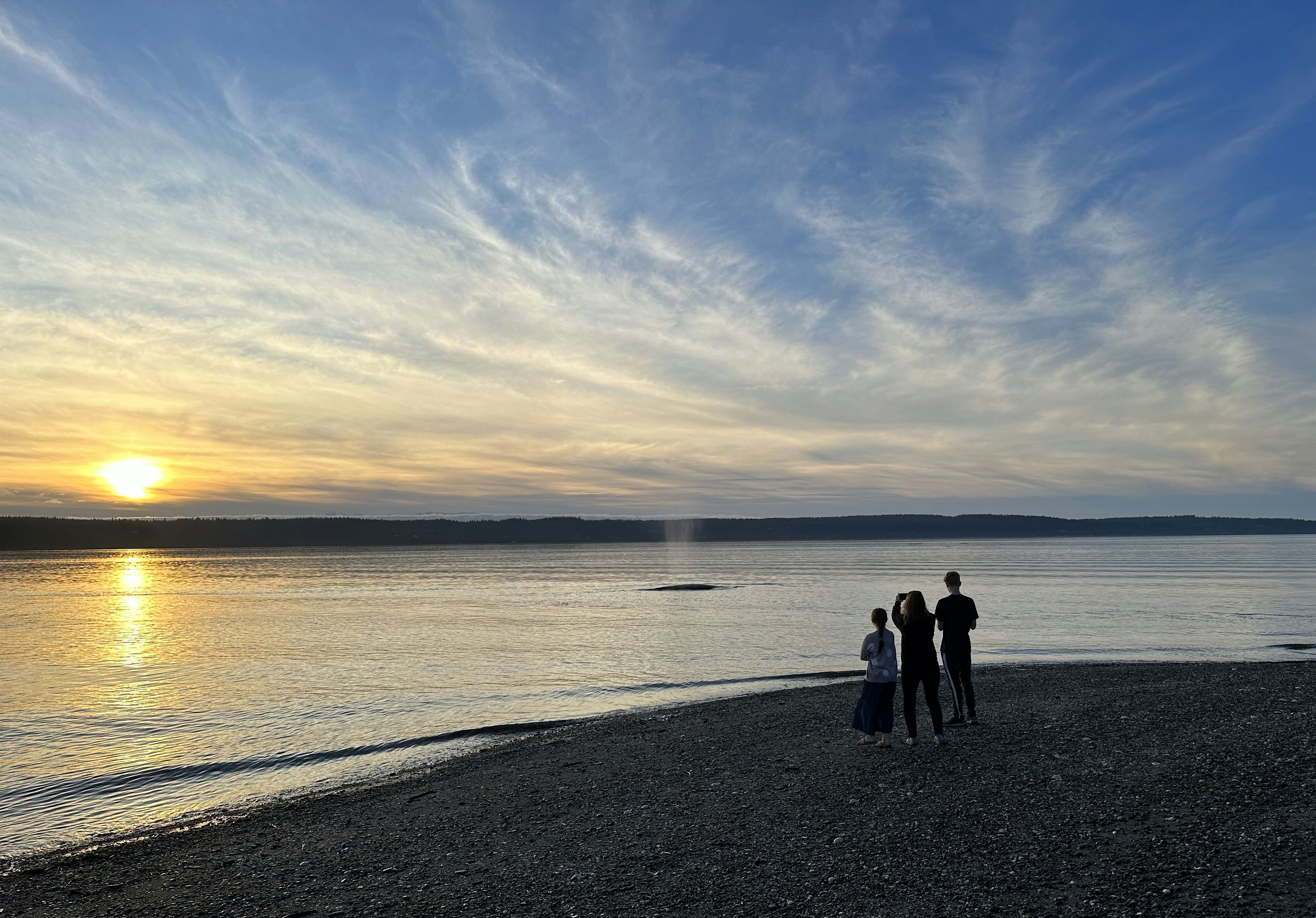 Click to View Larger