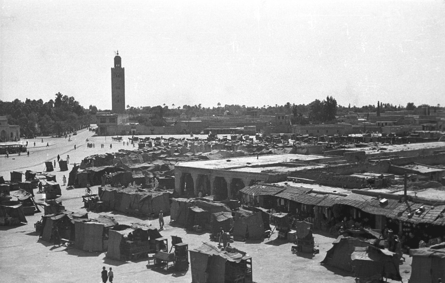 Click to View Larger