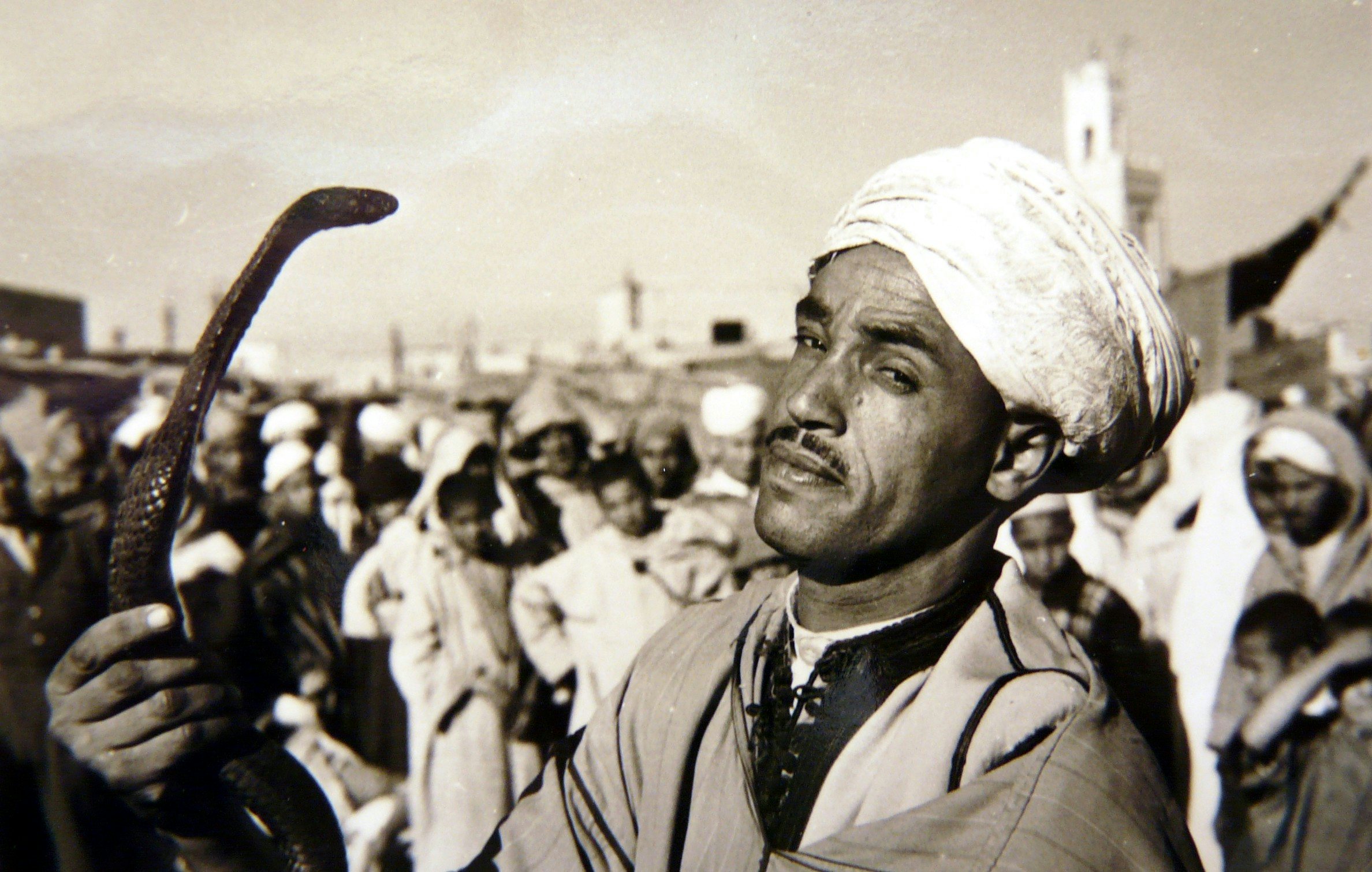 Click to View Larger