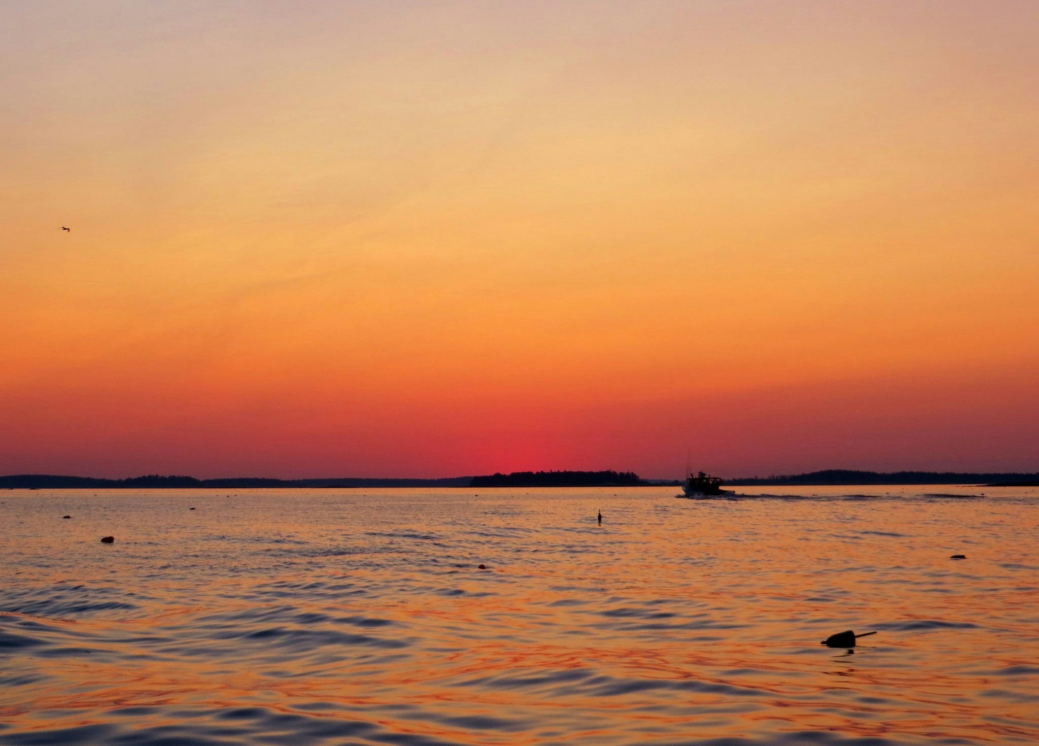 Click to View Larger