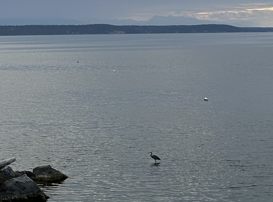 Click to View Larger