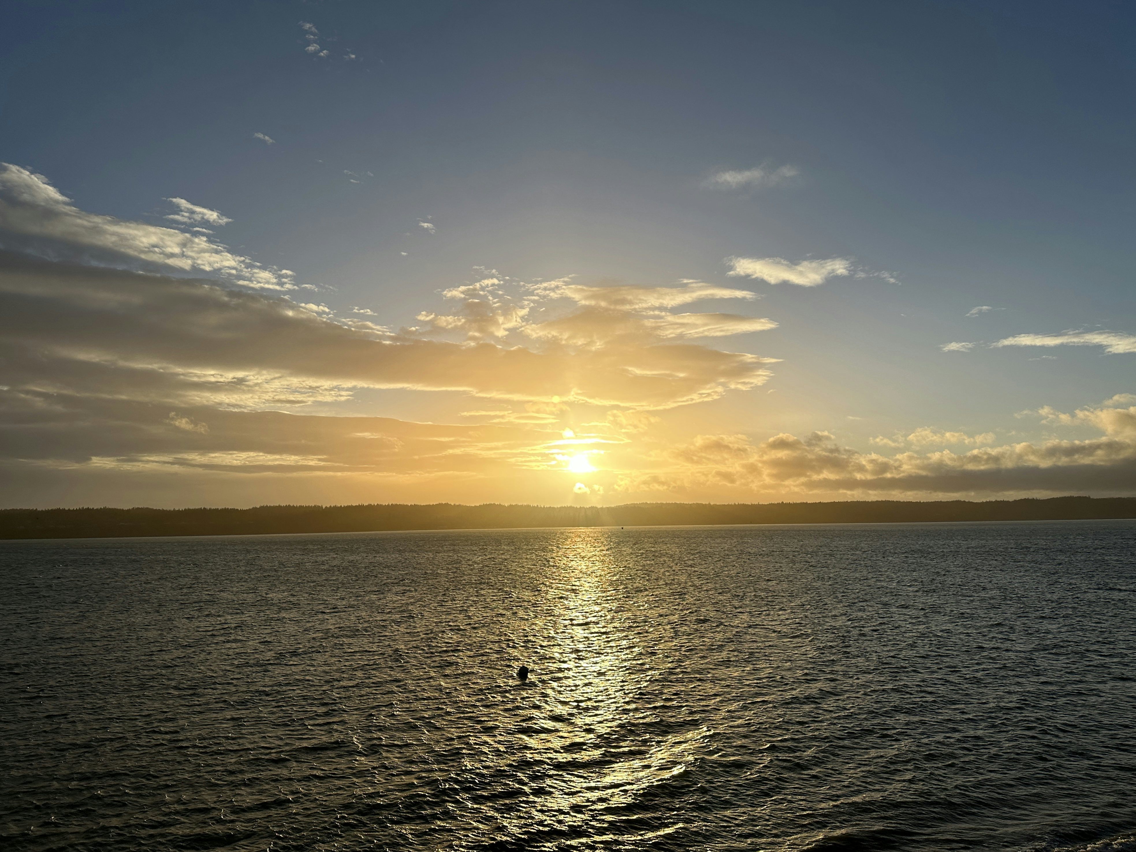 Click to View Larger