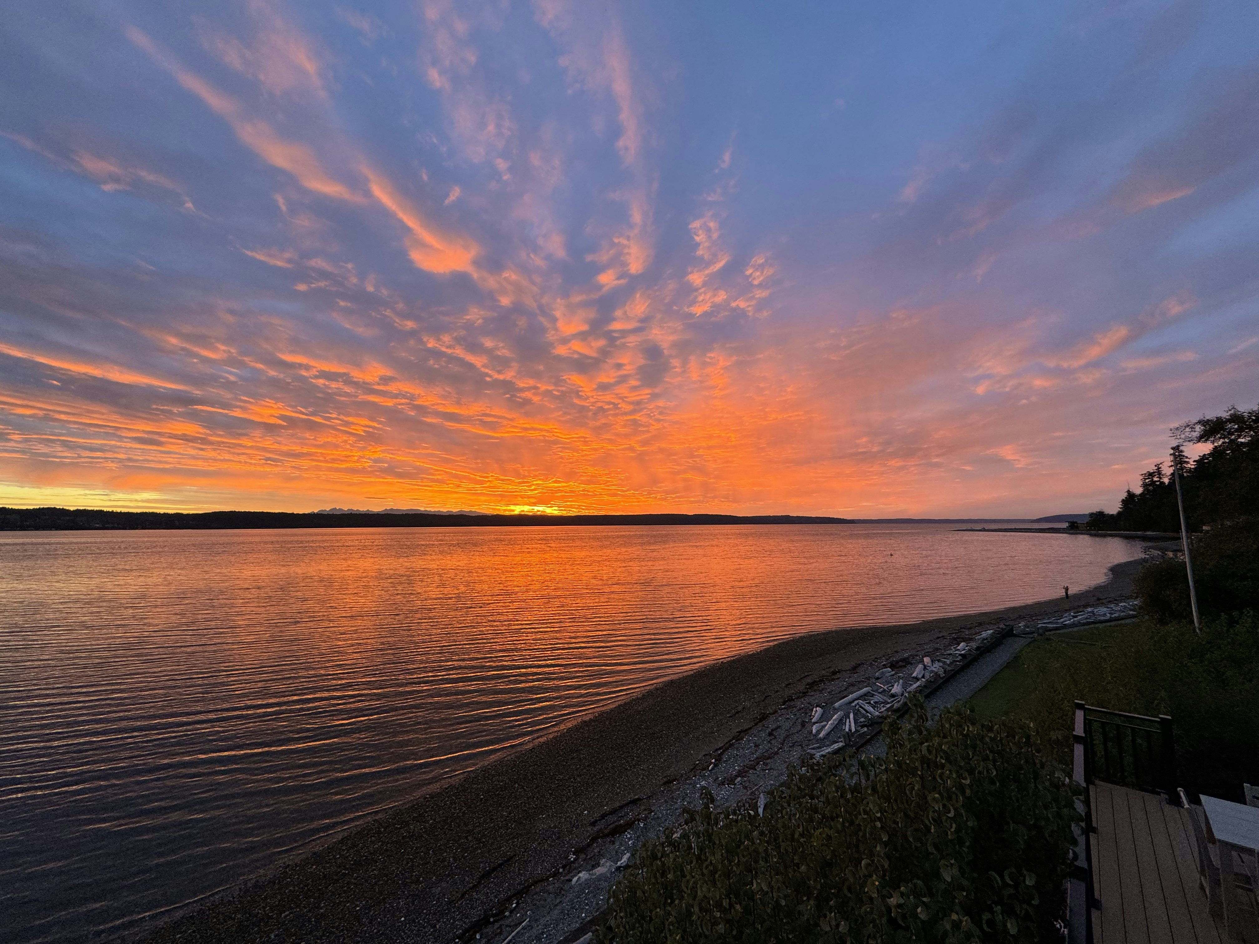 Click to View Larger