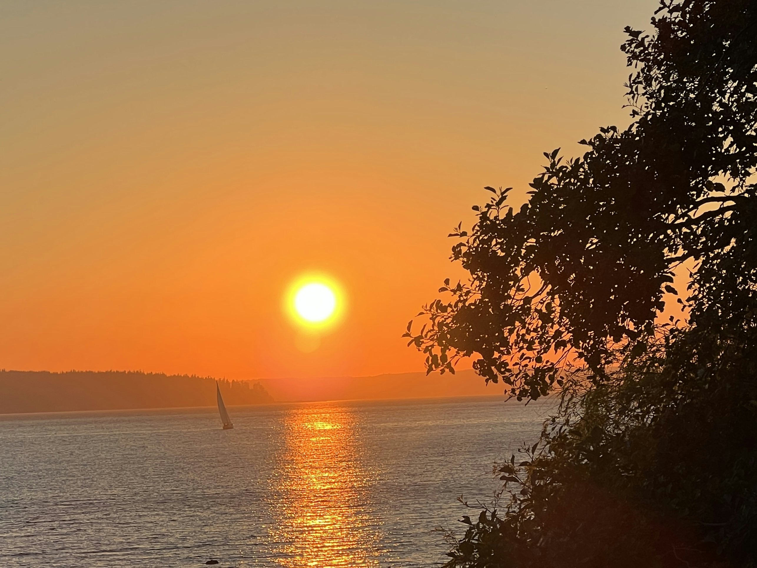 Click to View Larger