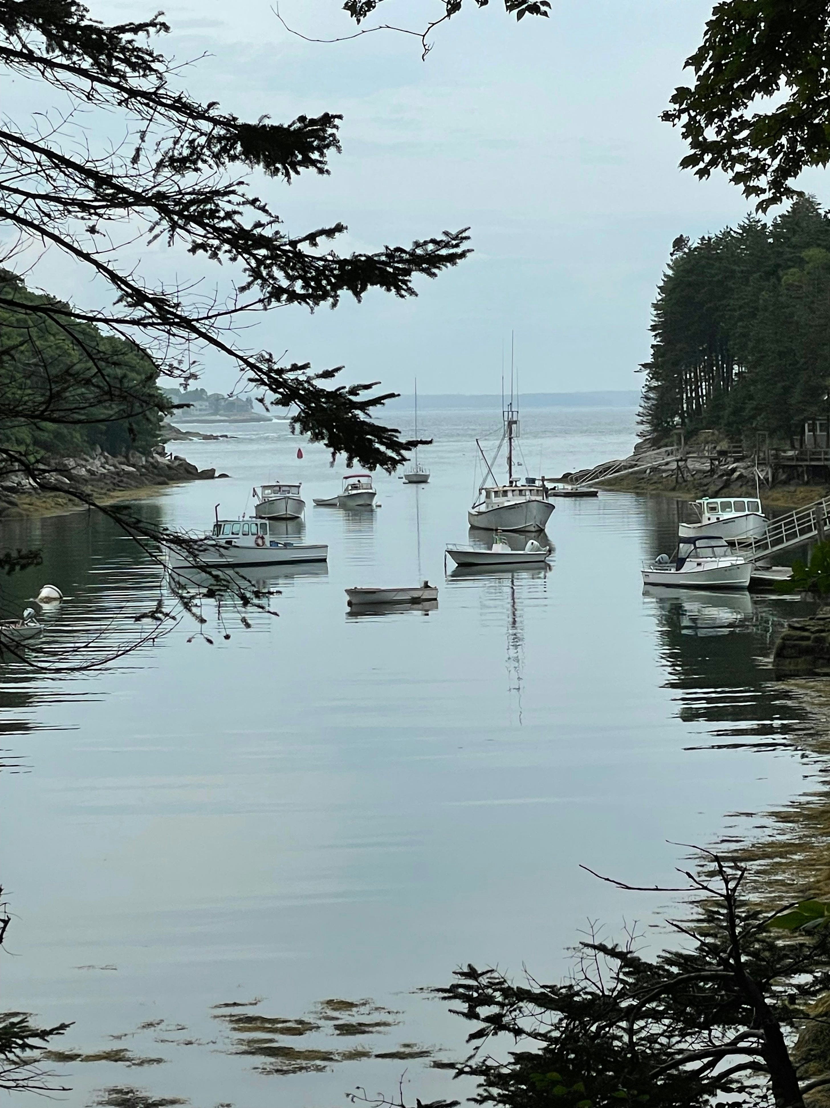 Click to View Larger